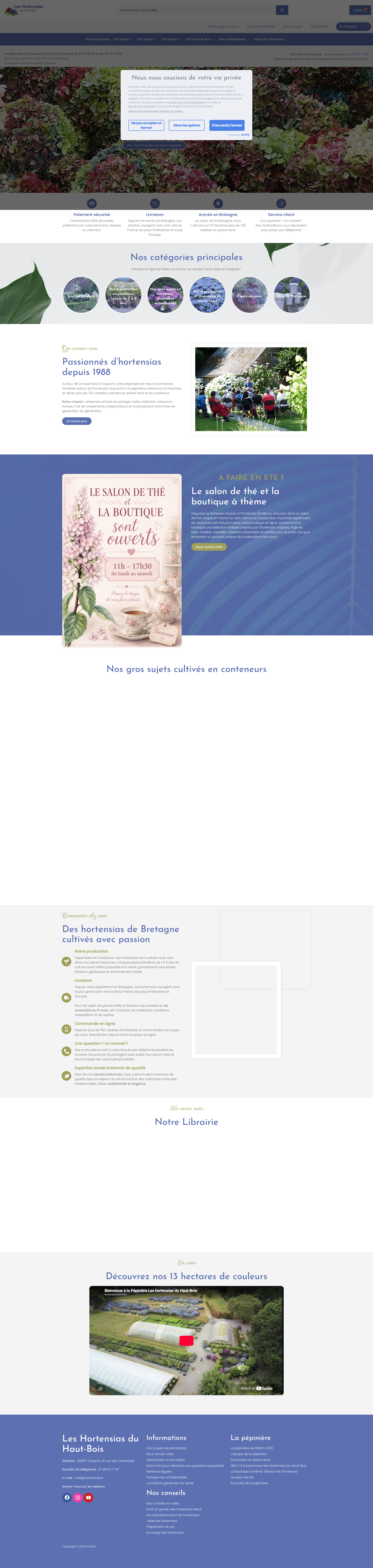 Aperçu du site