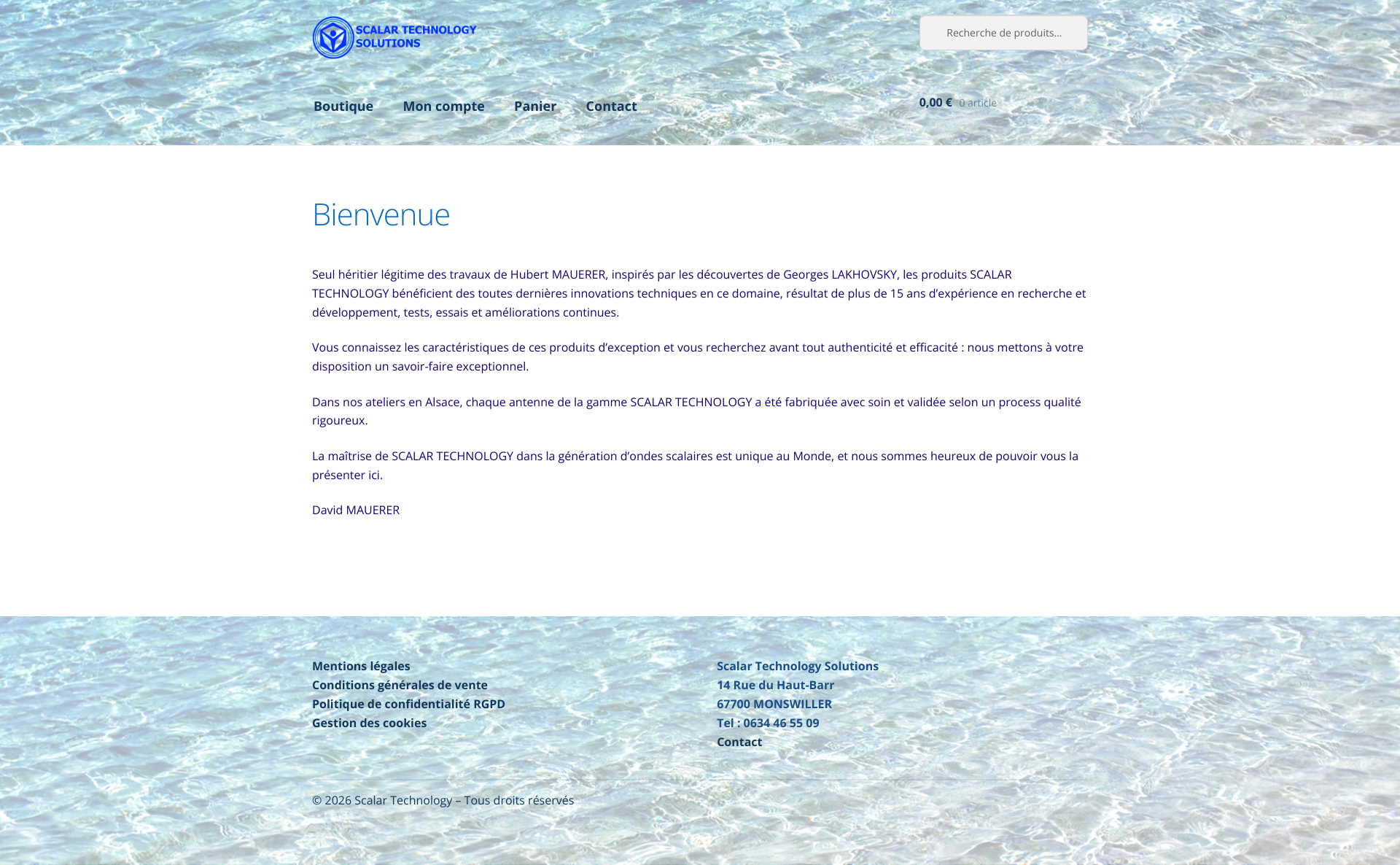 Aperçu du site