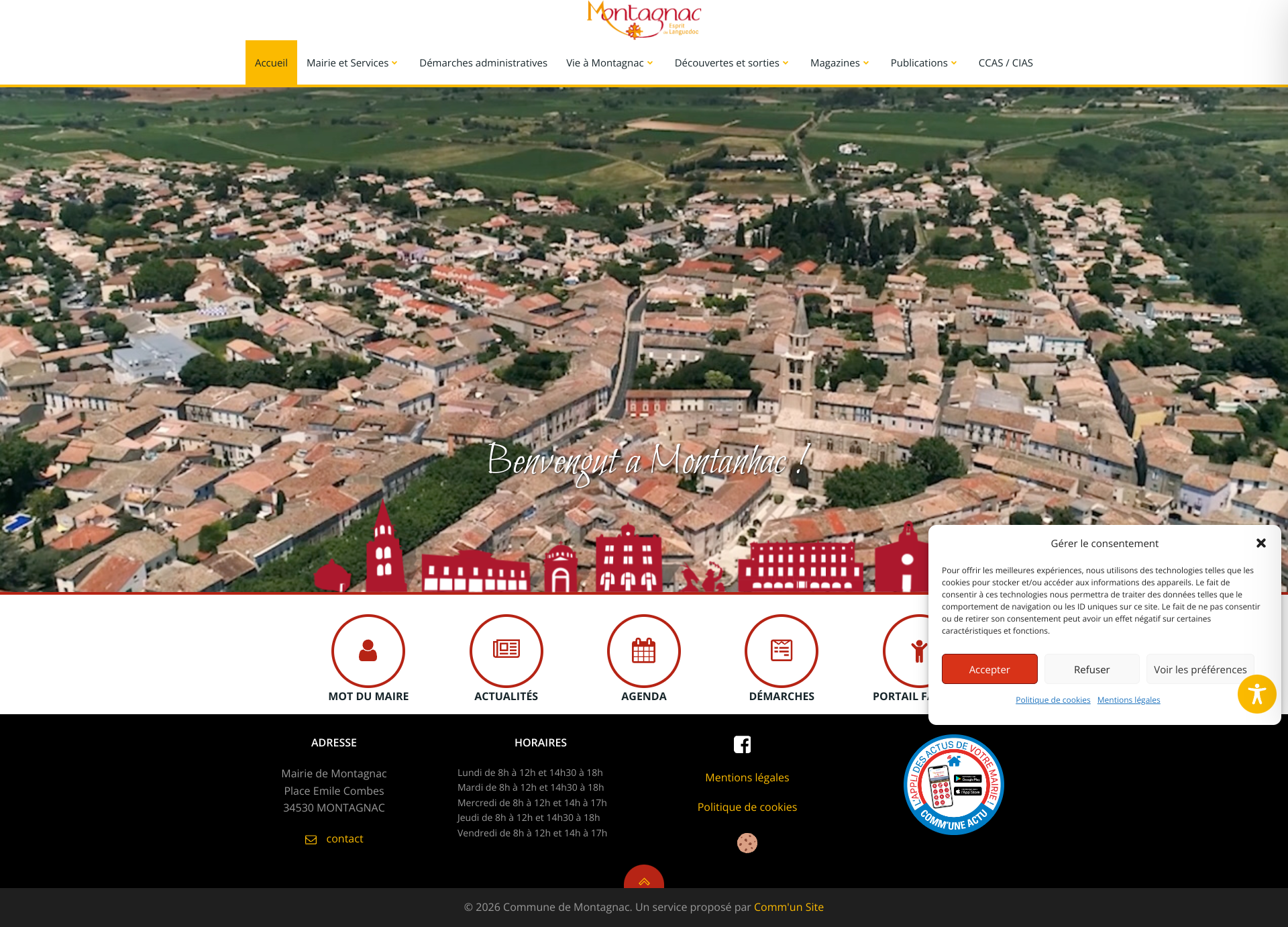Aperçu du site