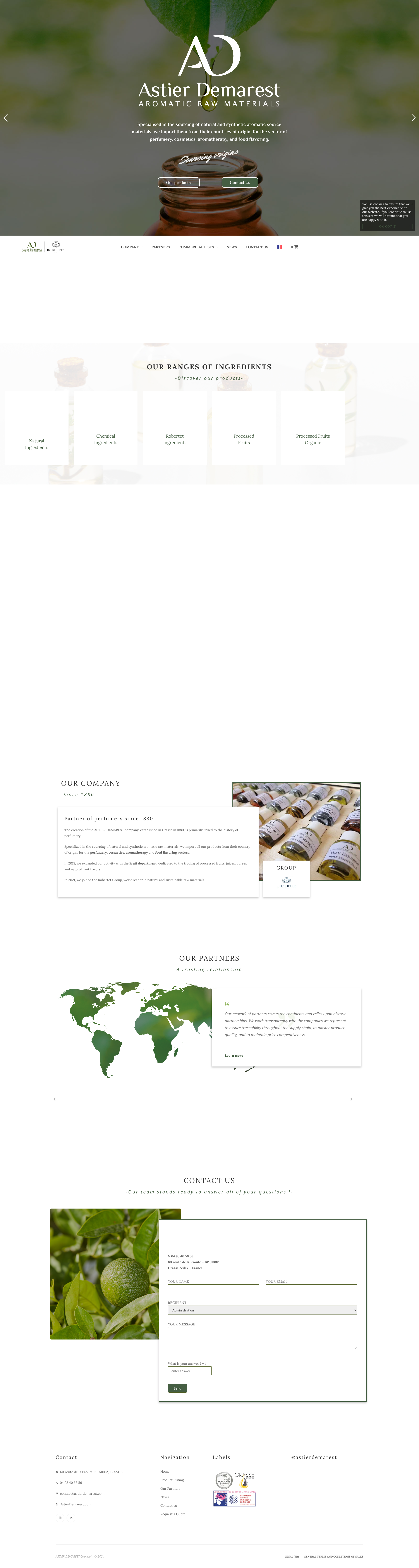 Aperçu du site