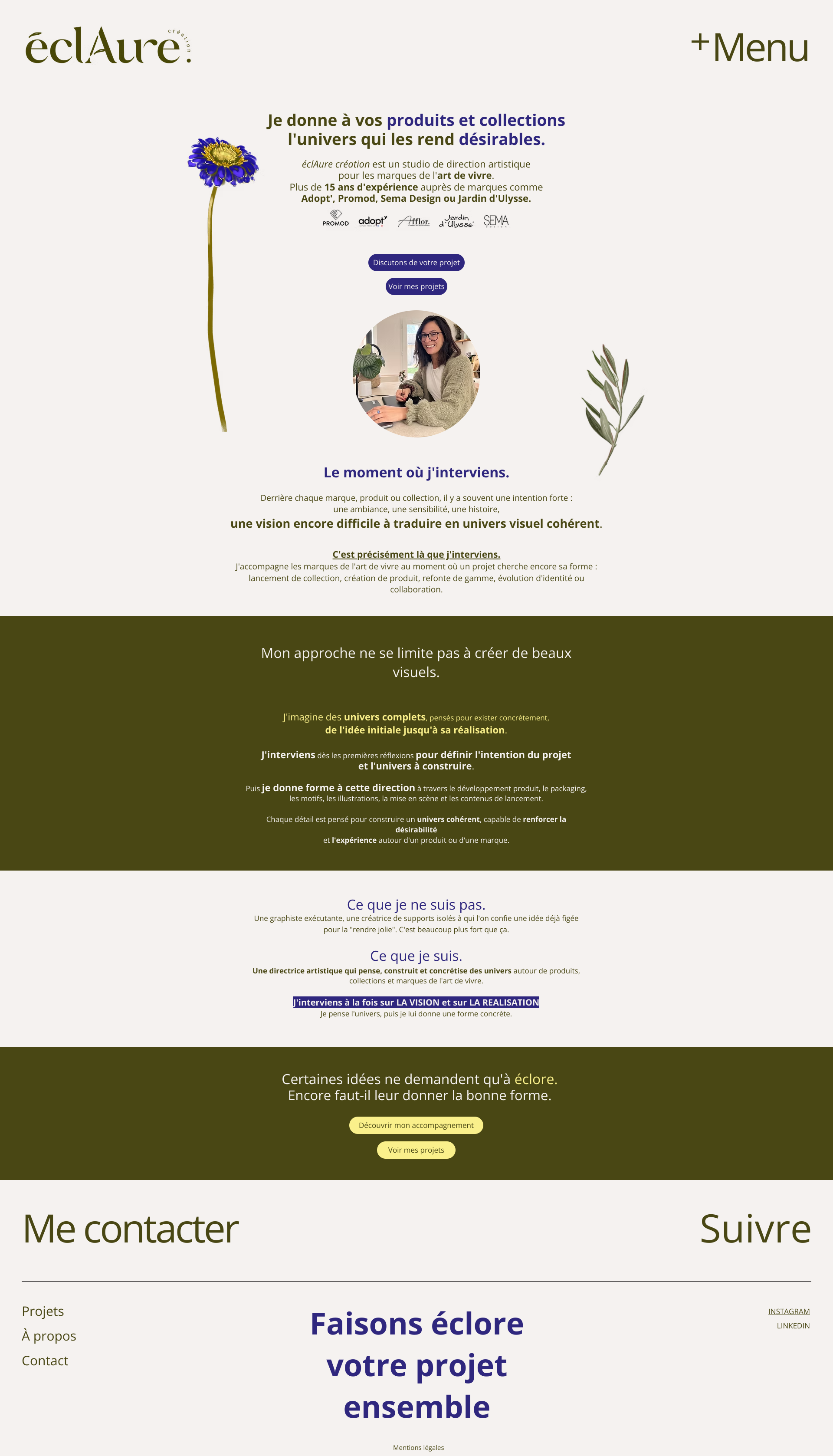 Aperçu du site