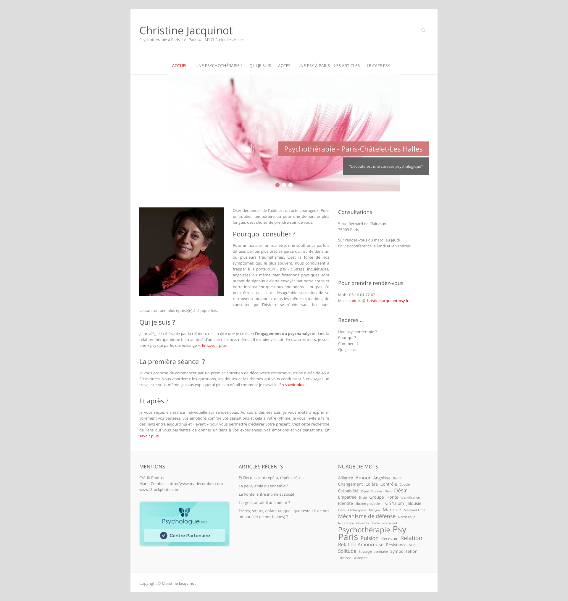 Aperçu du site