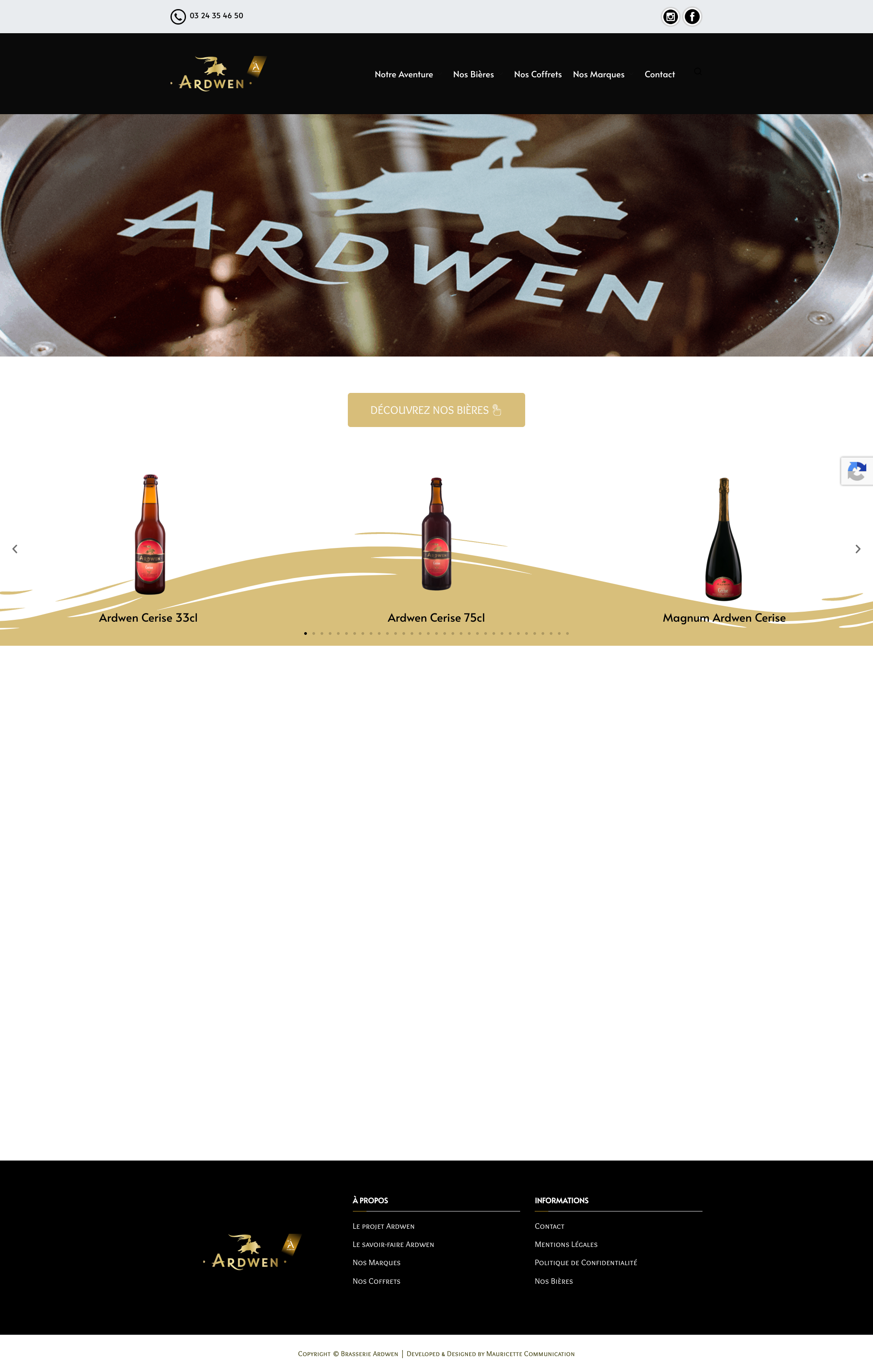 Aperçu du site
