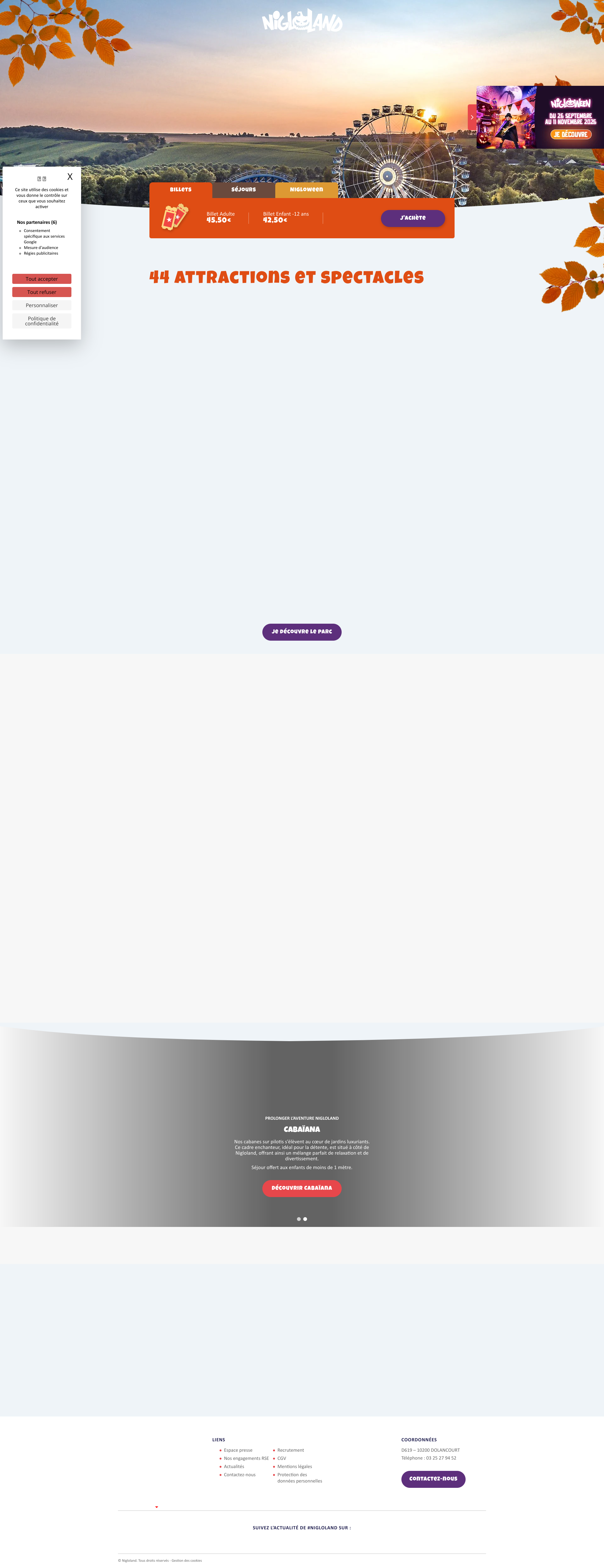 Aperçu du site