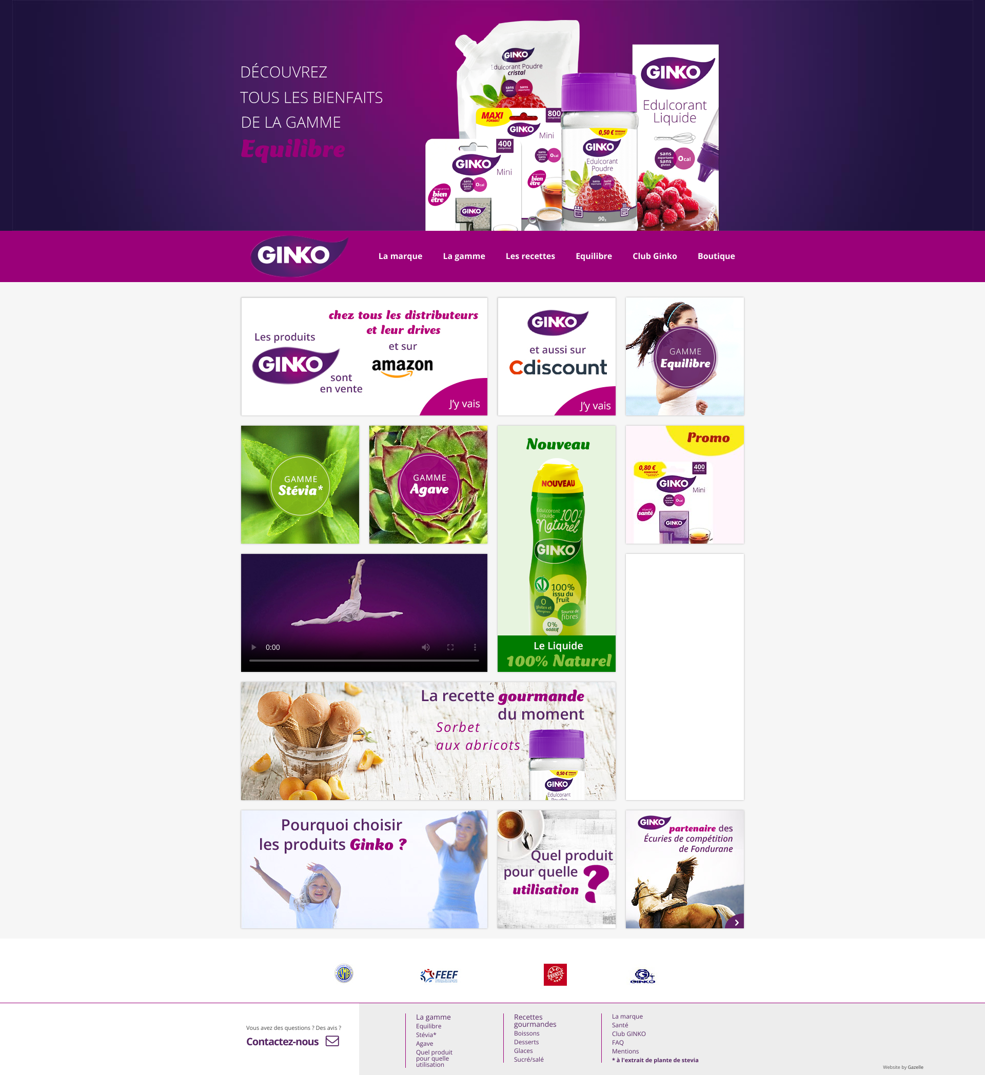 Aperçu du site