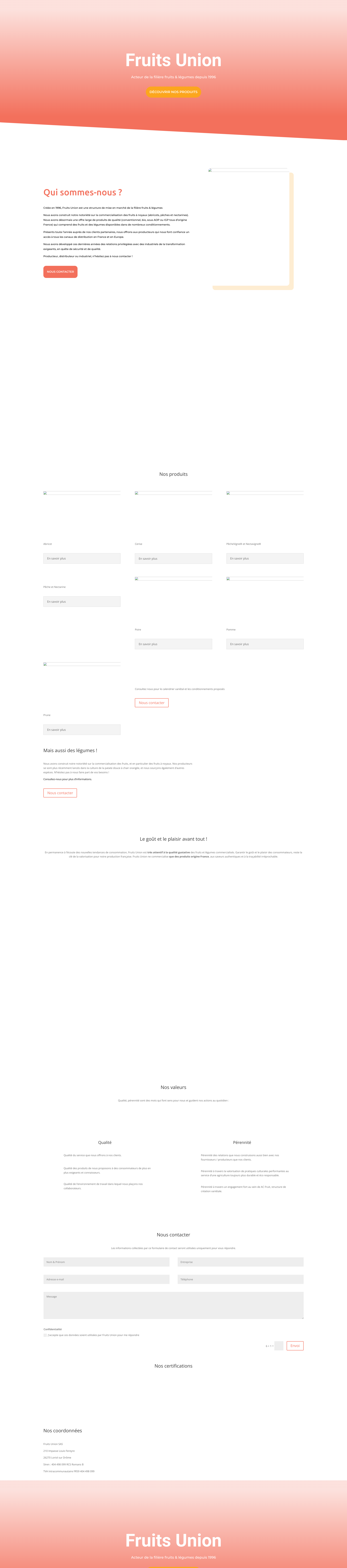Aperçu du site