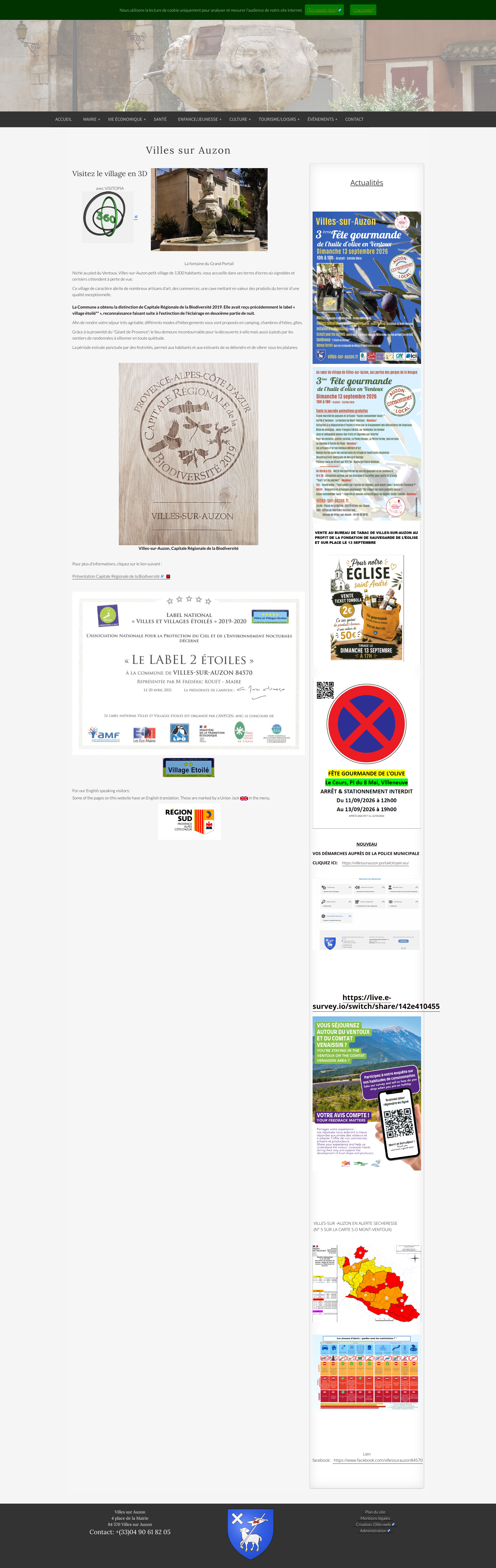 Aperçu du site