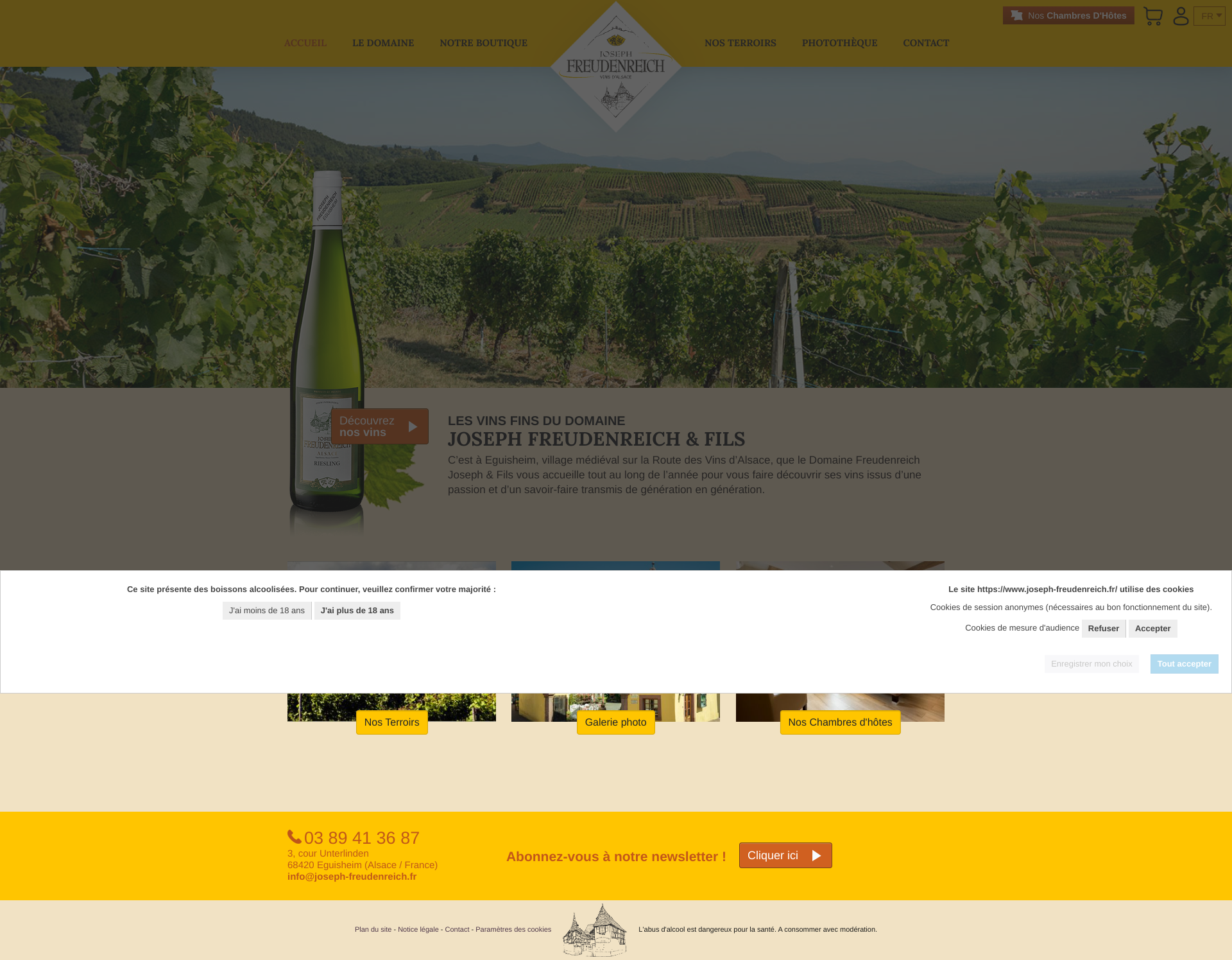 Aperçu du site