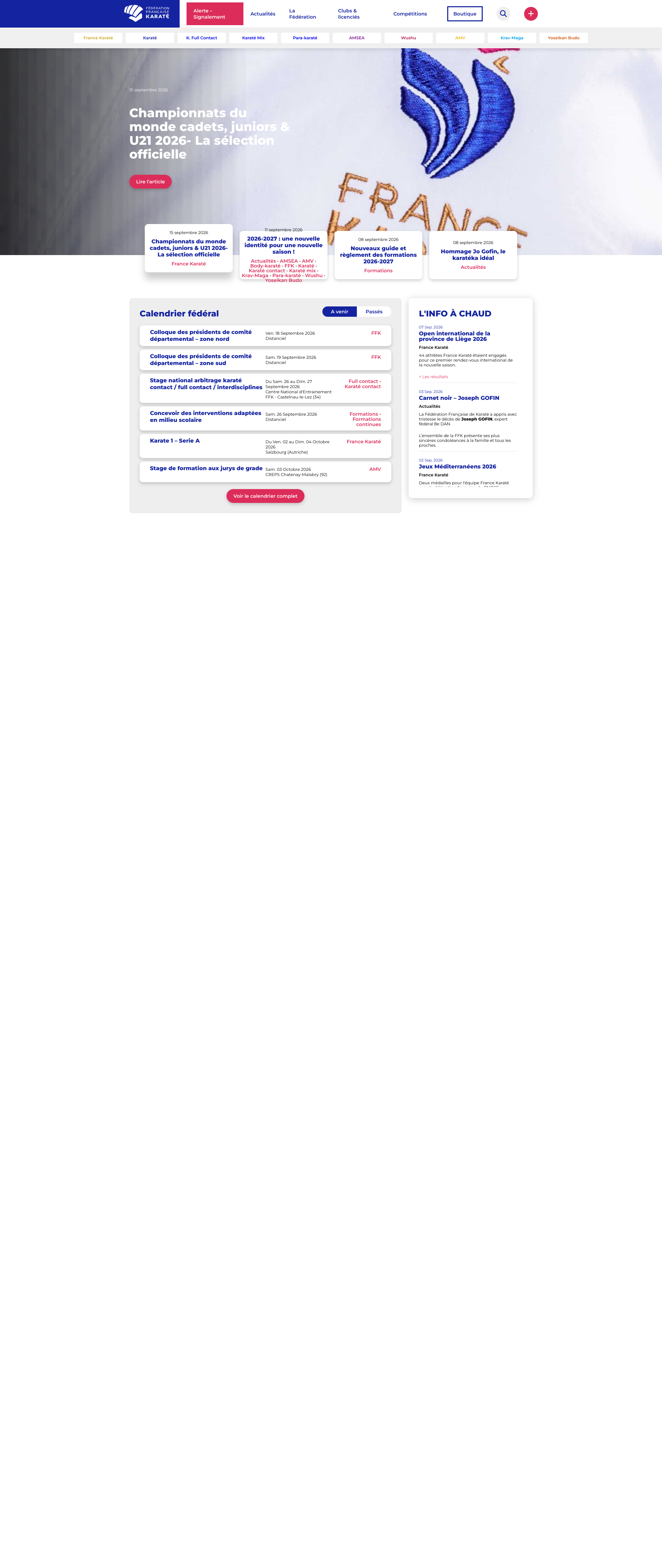 Aperçu du site