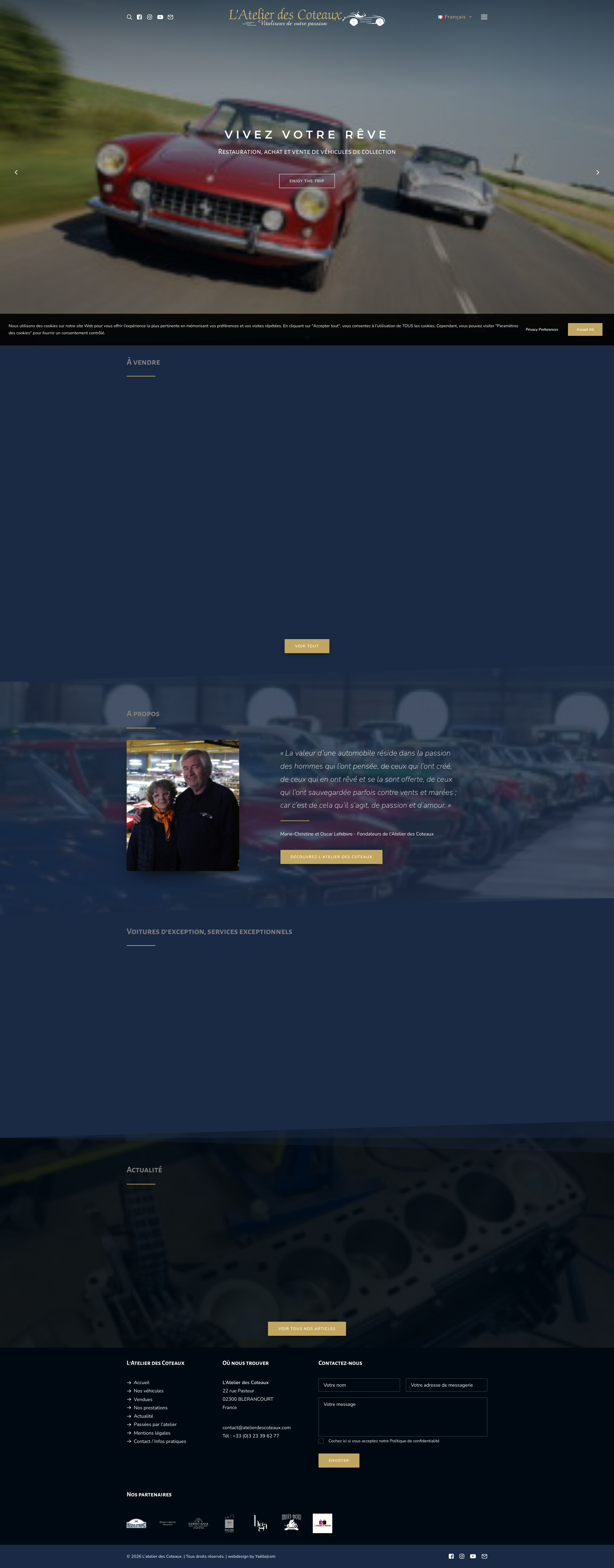 Aperçu du site