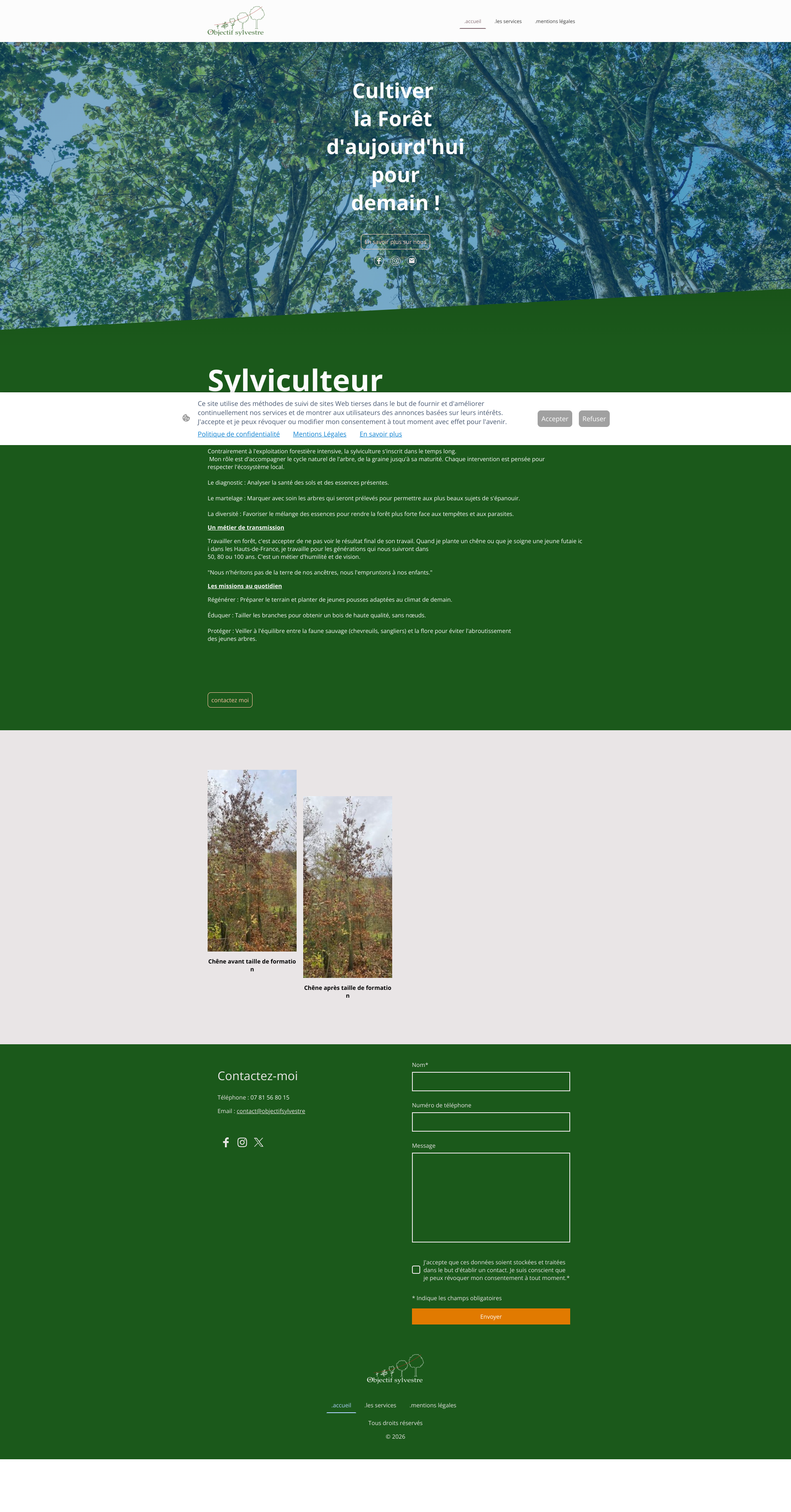 Aperçu du site