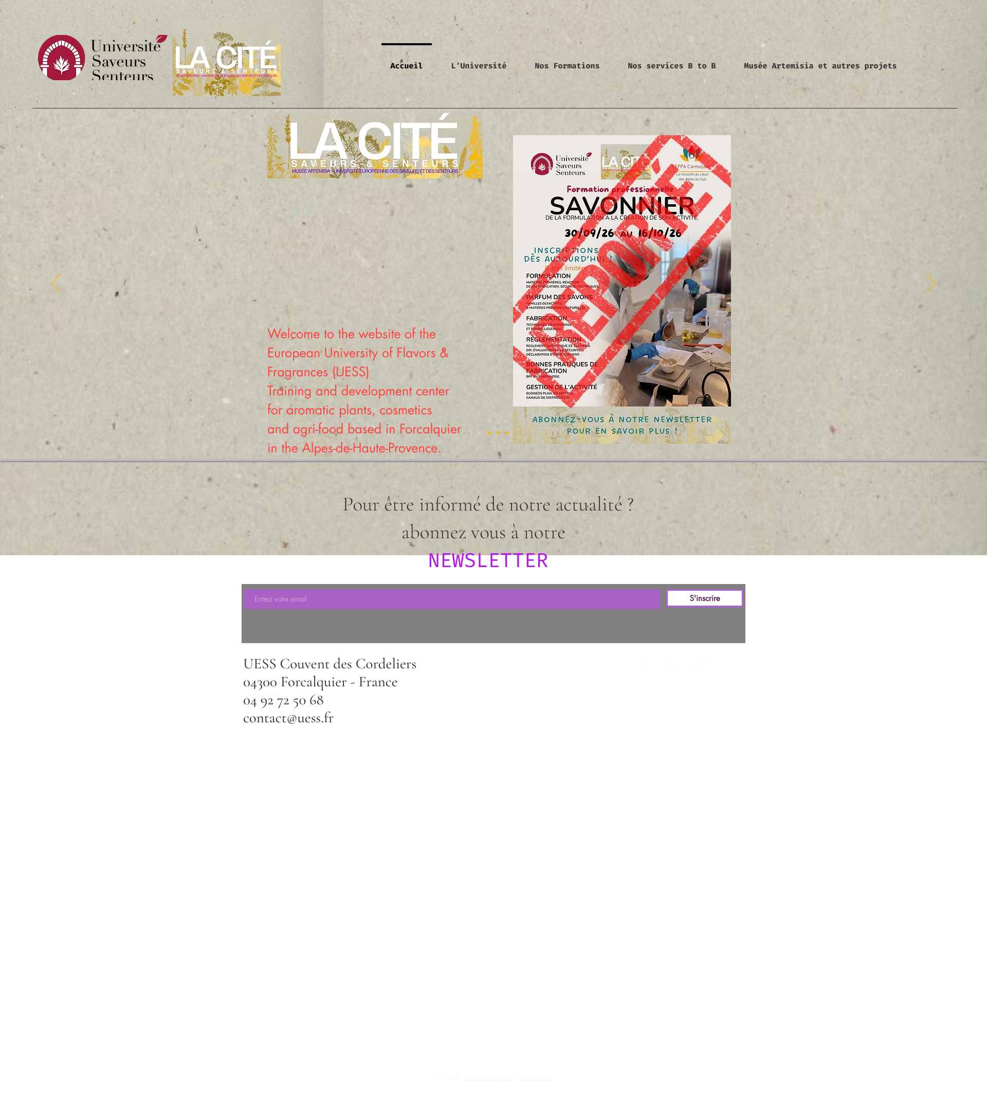 Aperçu du site