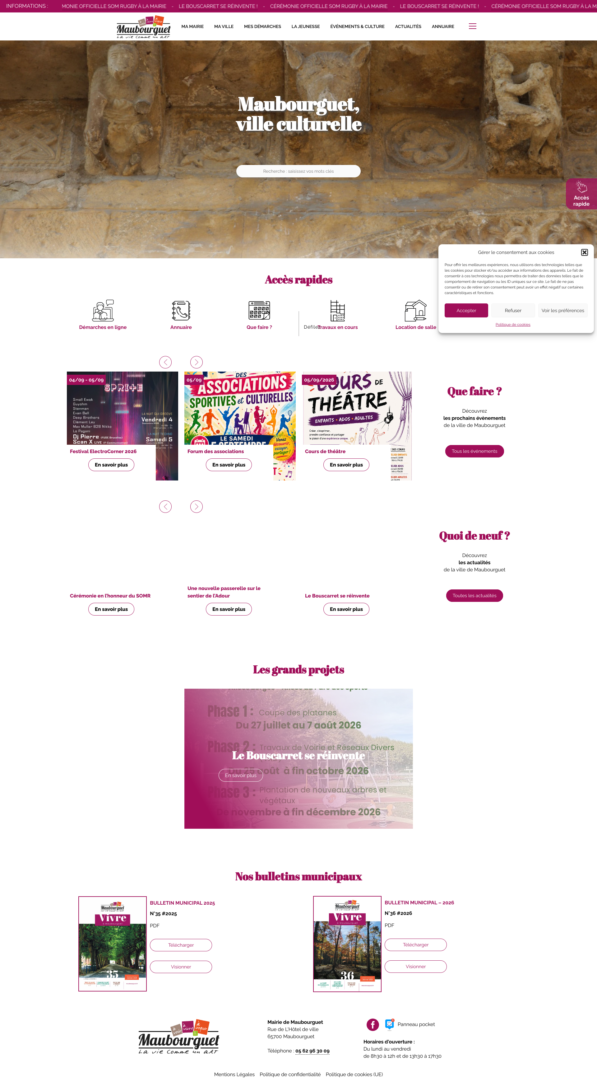 Aperçu du site