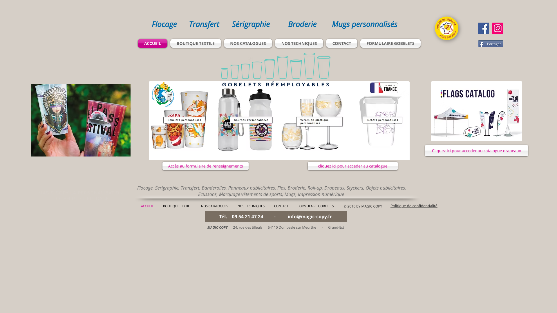 Aperçu du site