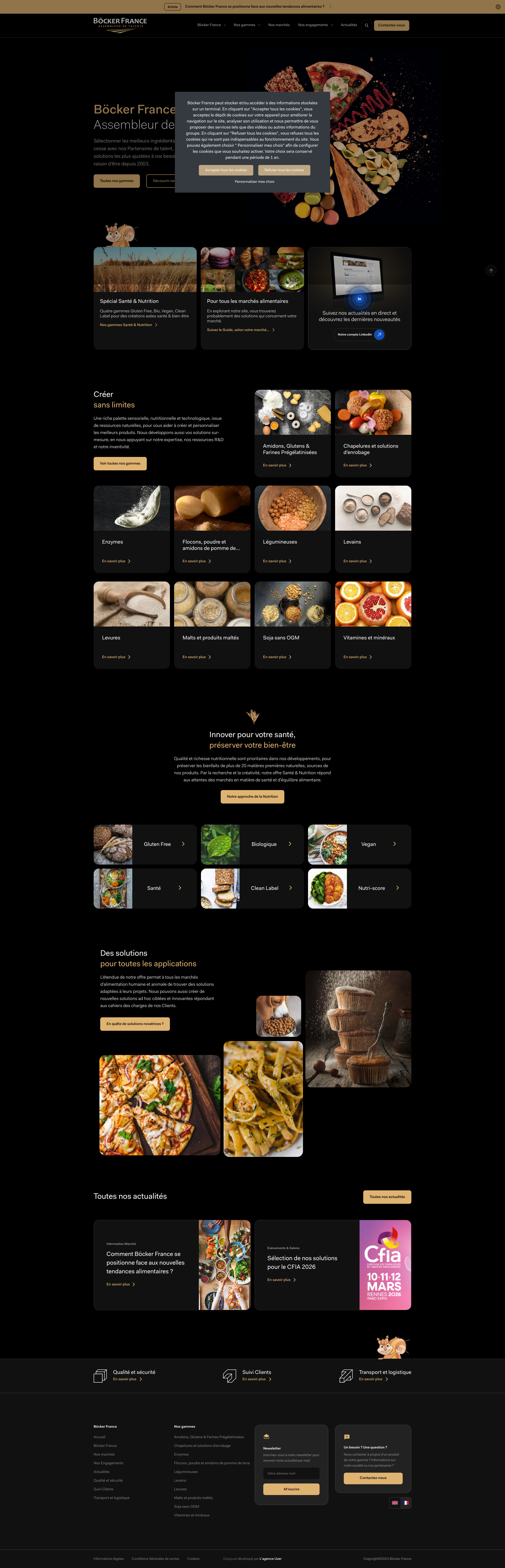 Aperçu du site