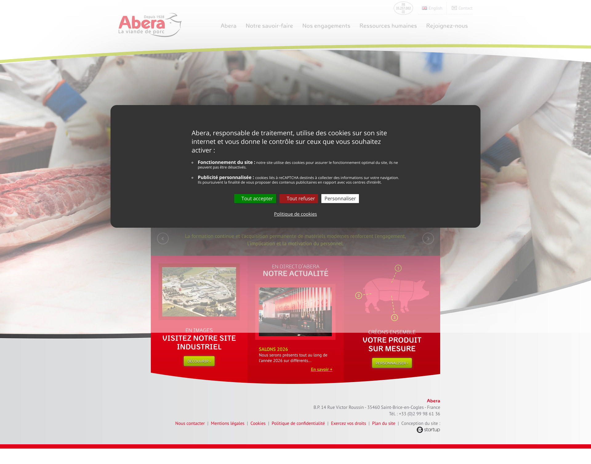 Aperçu du site