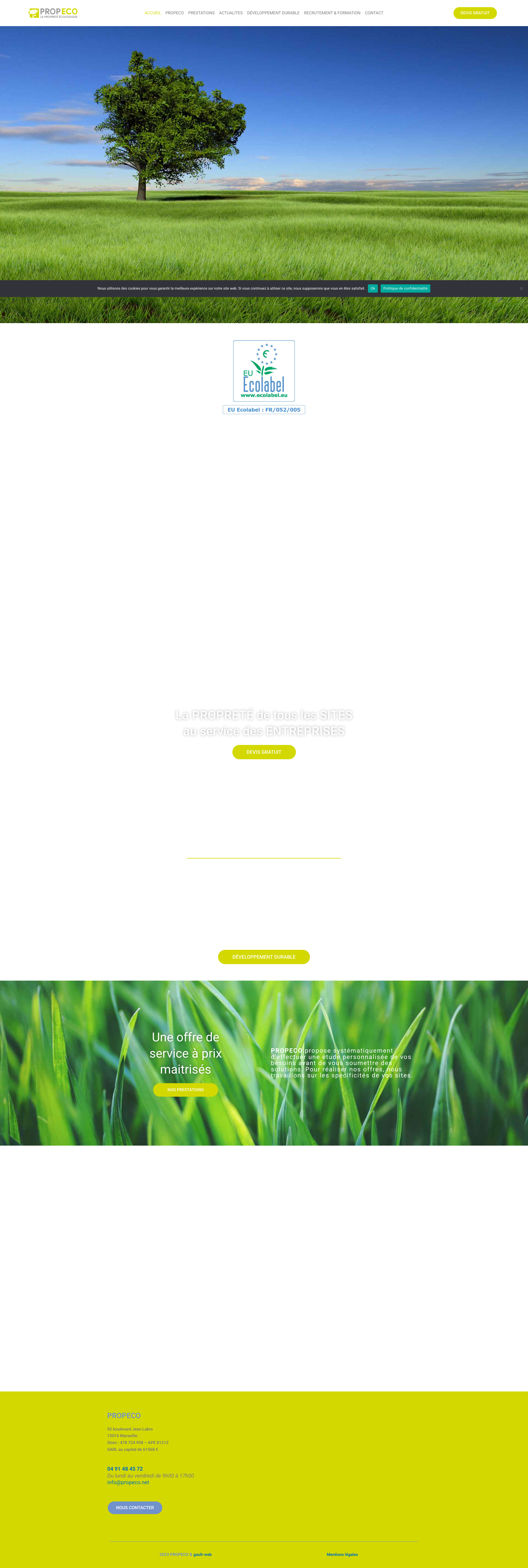 Aperçu du site