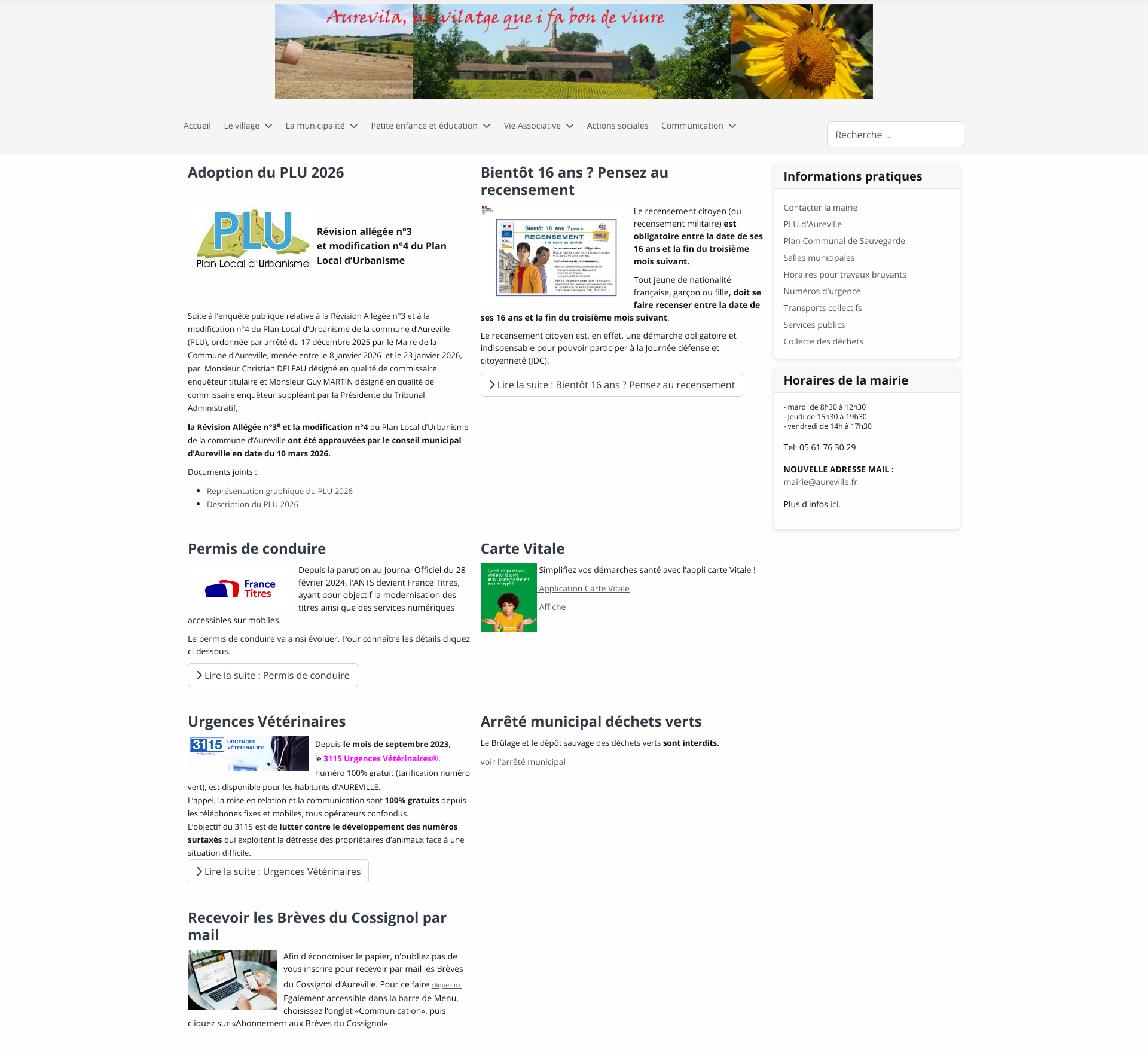 Aperçu du site