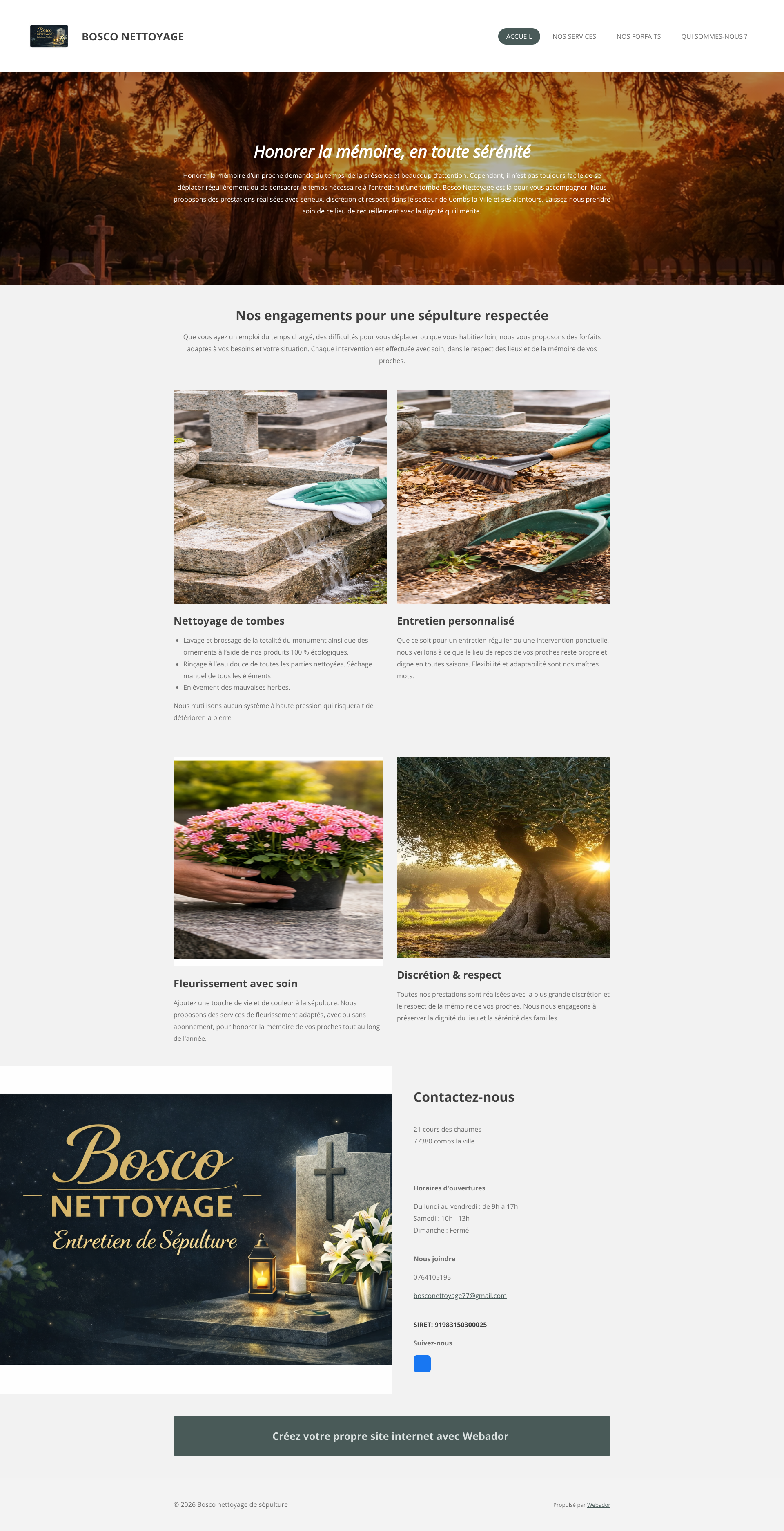 Aperçu du site