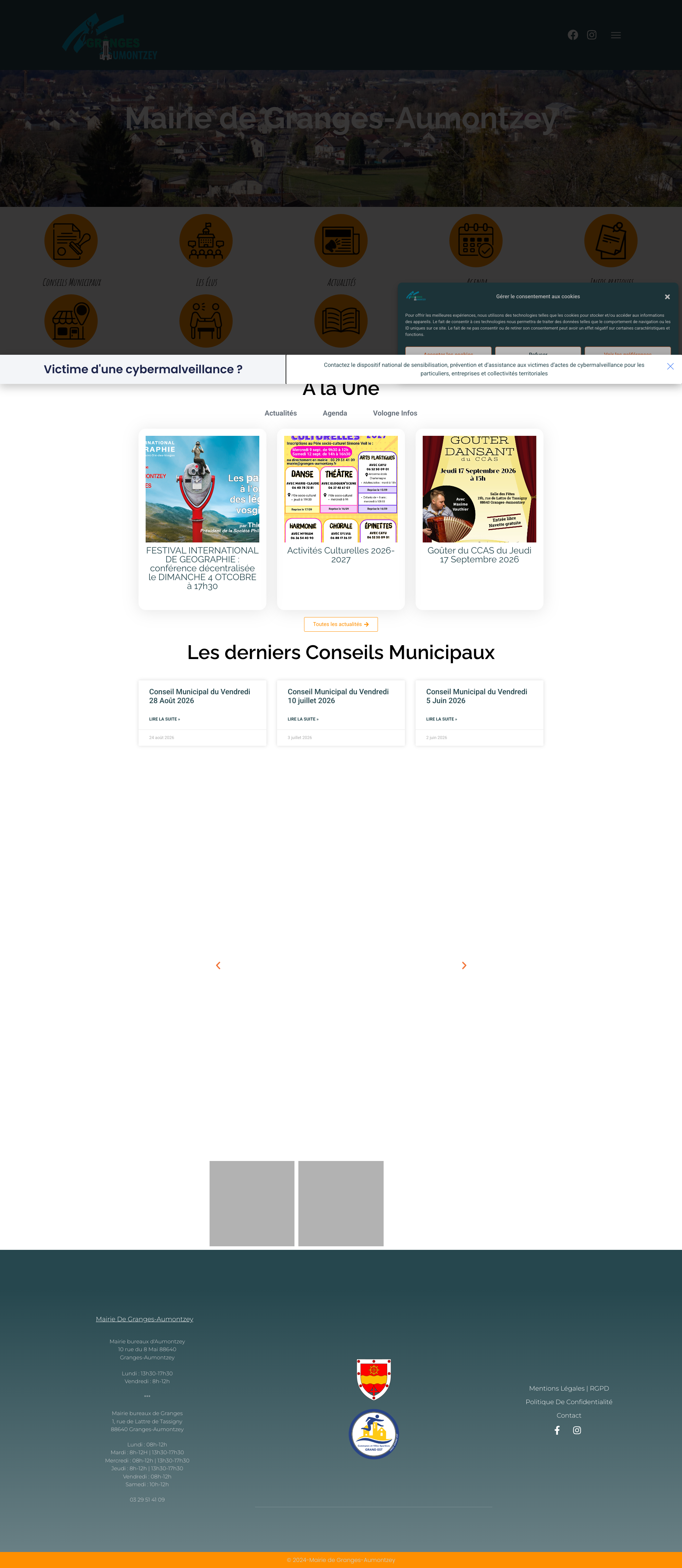 Aperçu du site