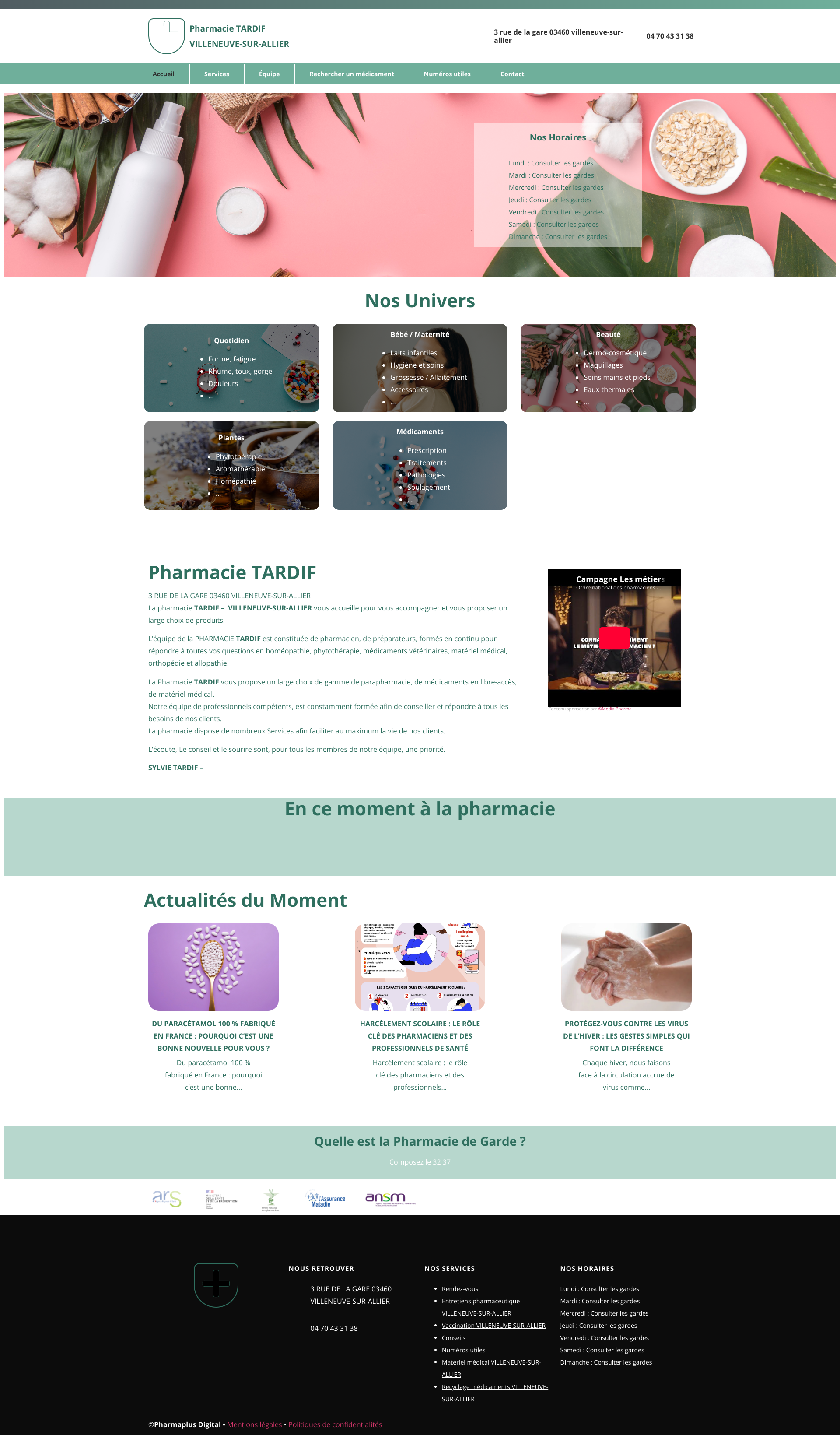 Aperçu du site