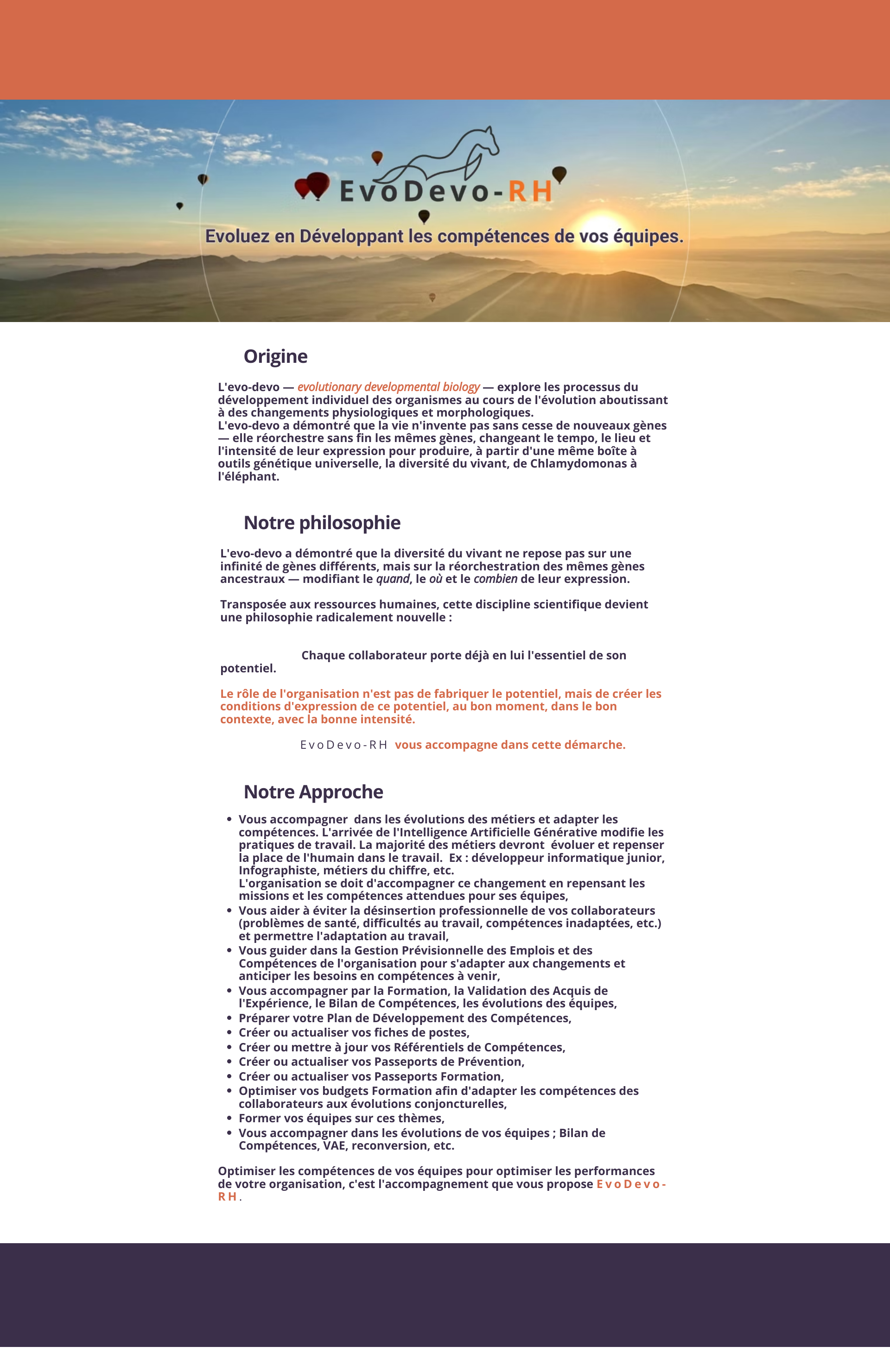Aperçu du site