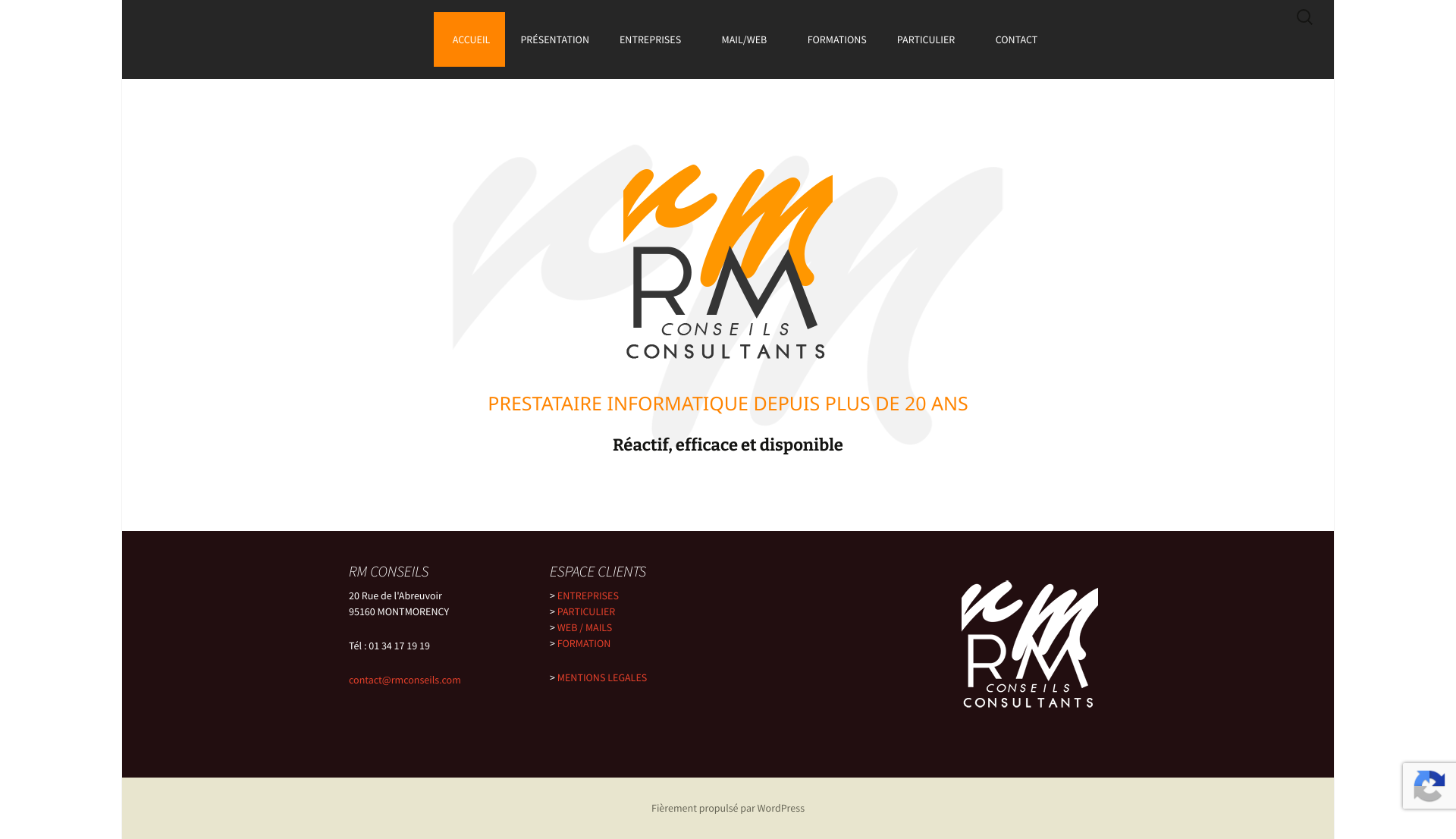 Aperçu du site