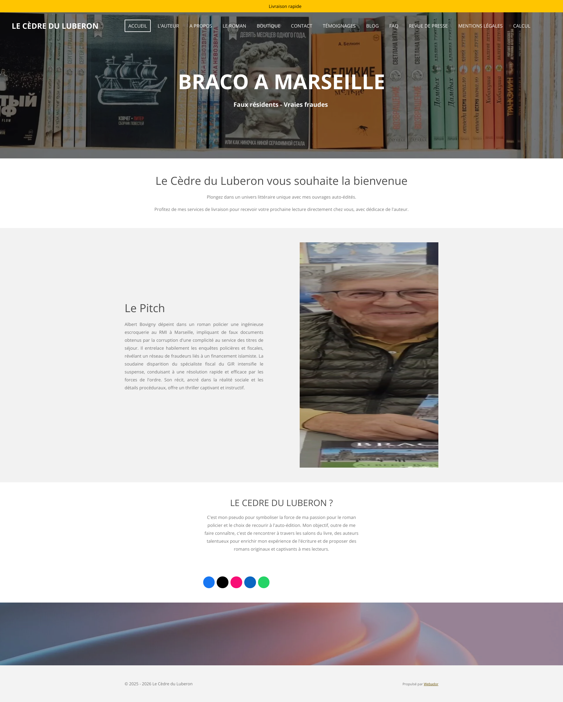 Aperçu du site