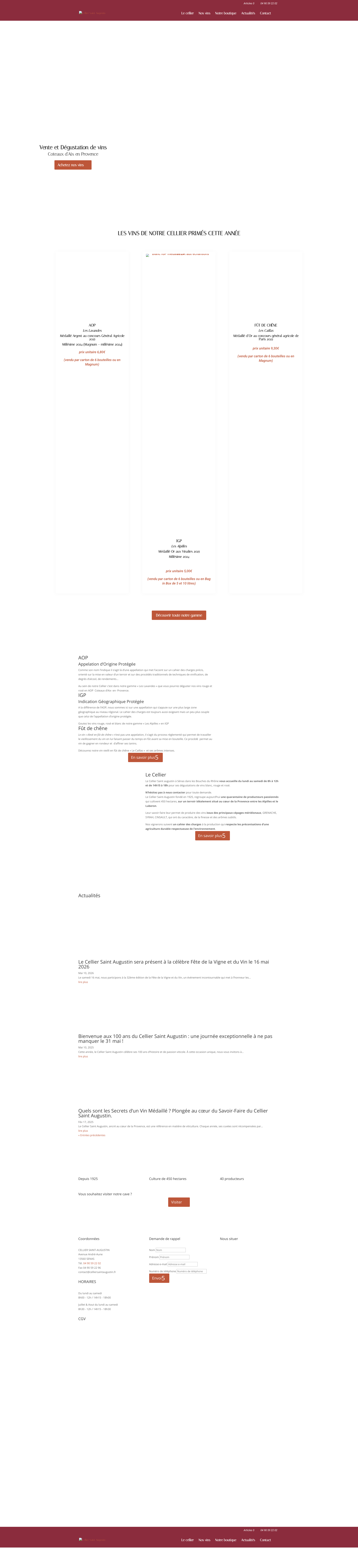 Aperçu du site