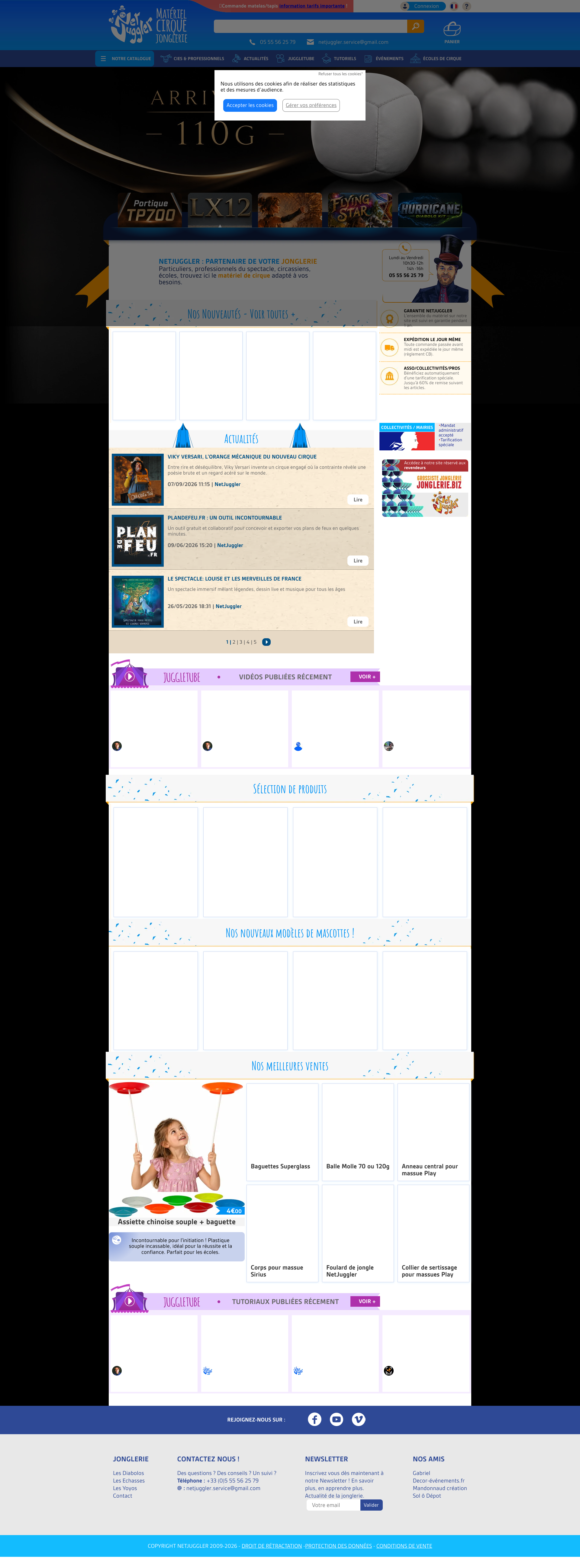 Aperçu du site
