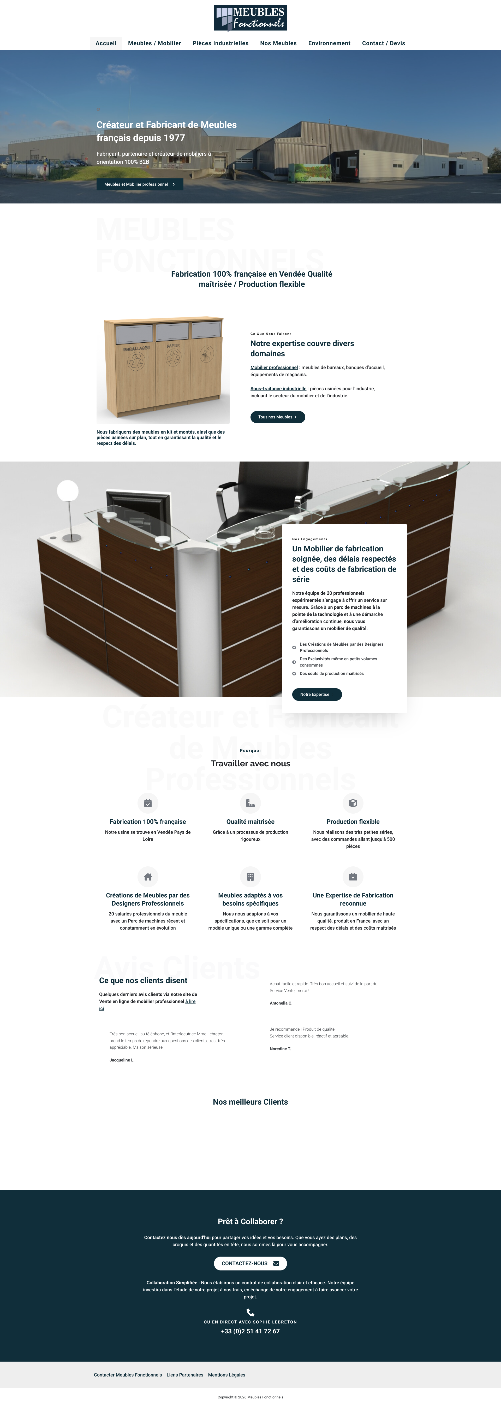 Aperçu du site