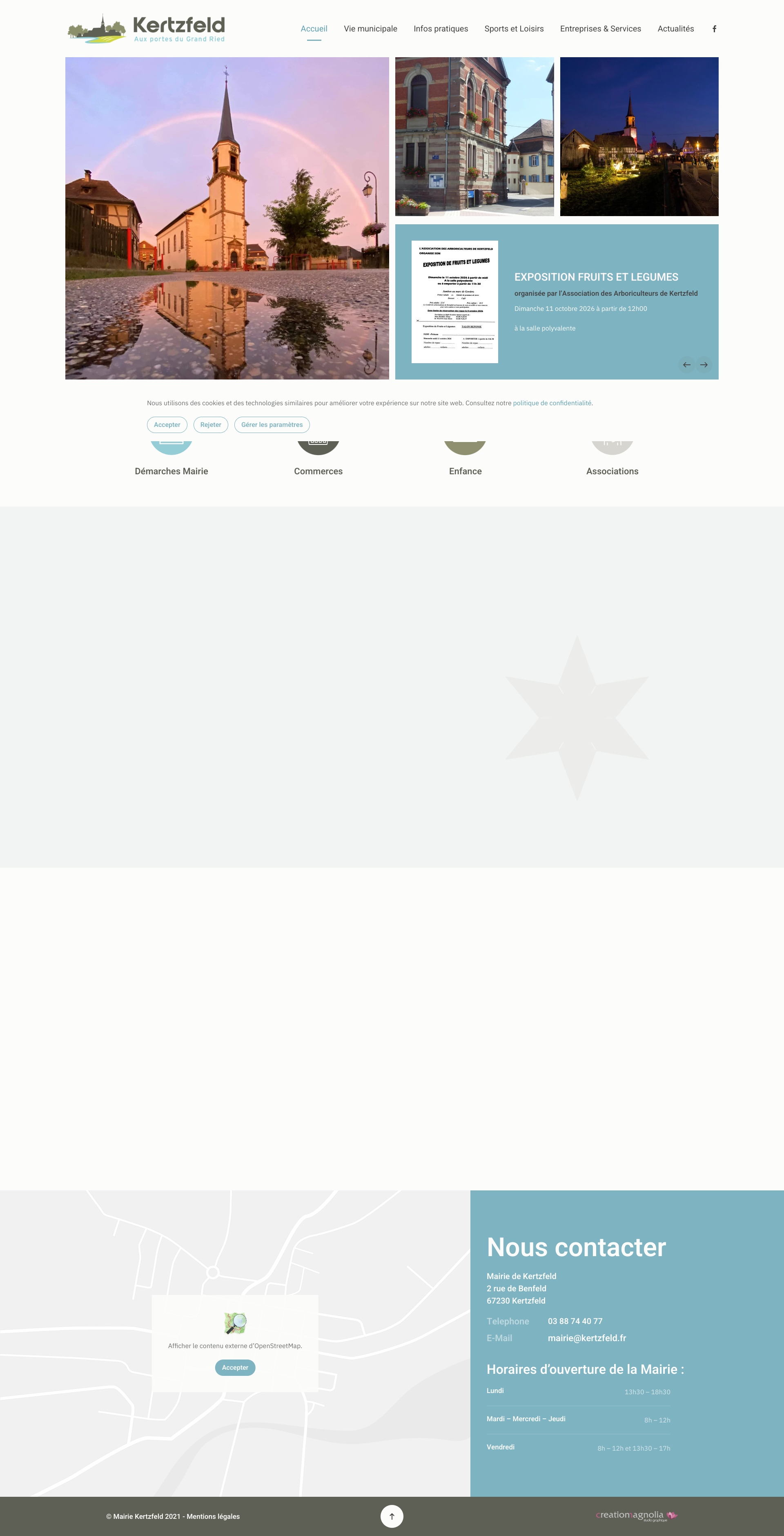 Aperçu du site