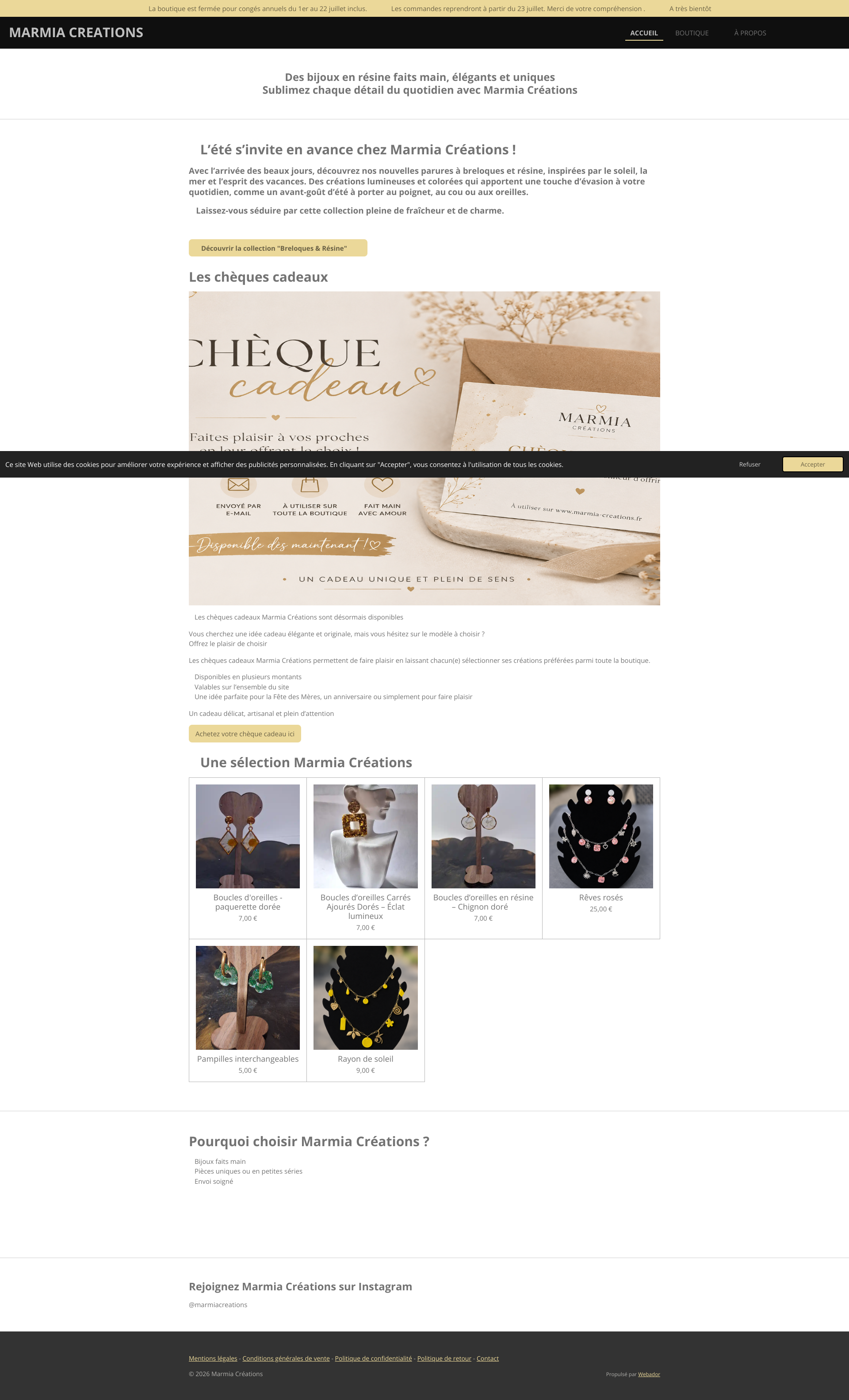 Aperçu du site