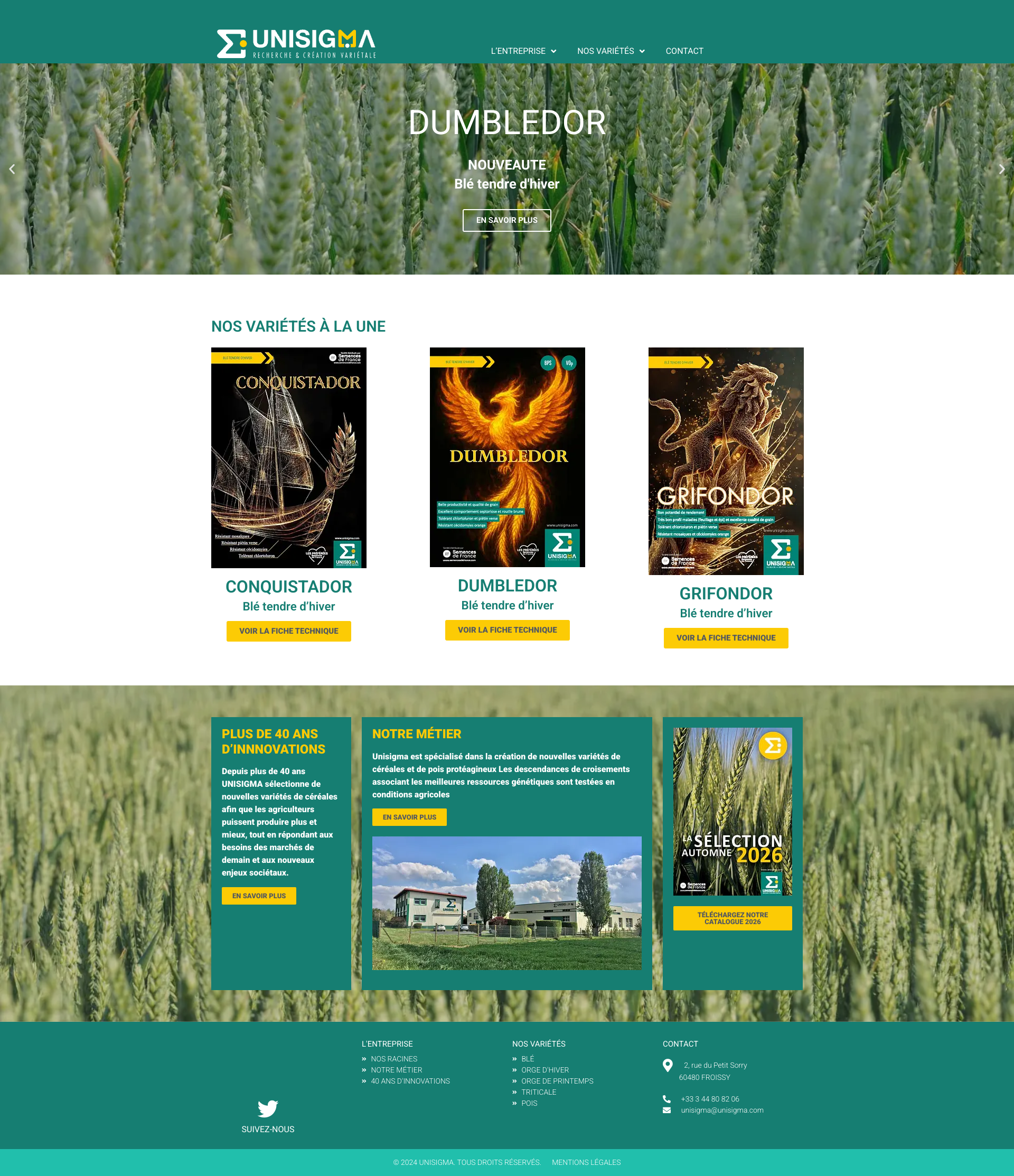 Aperçu du site