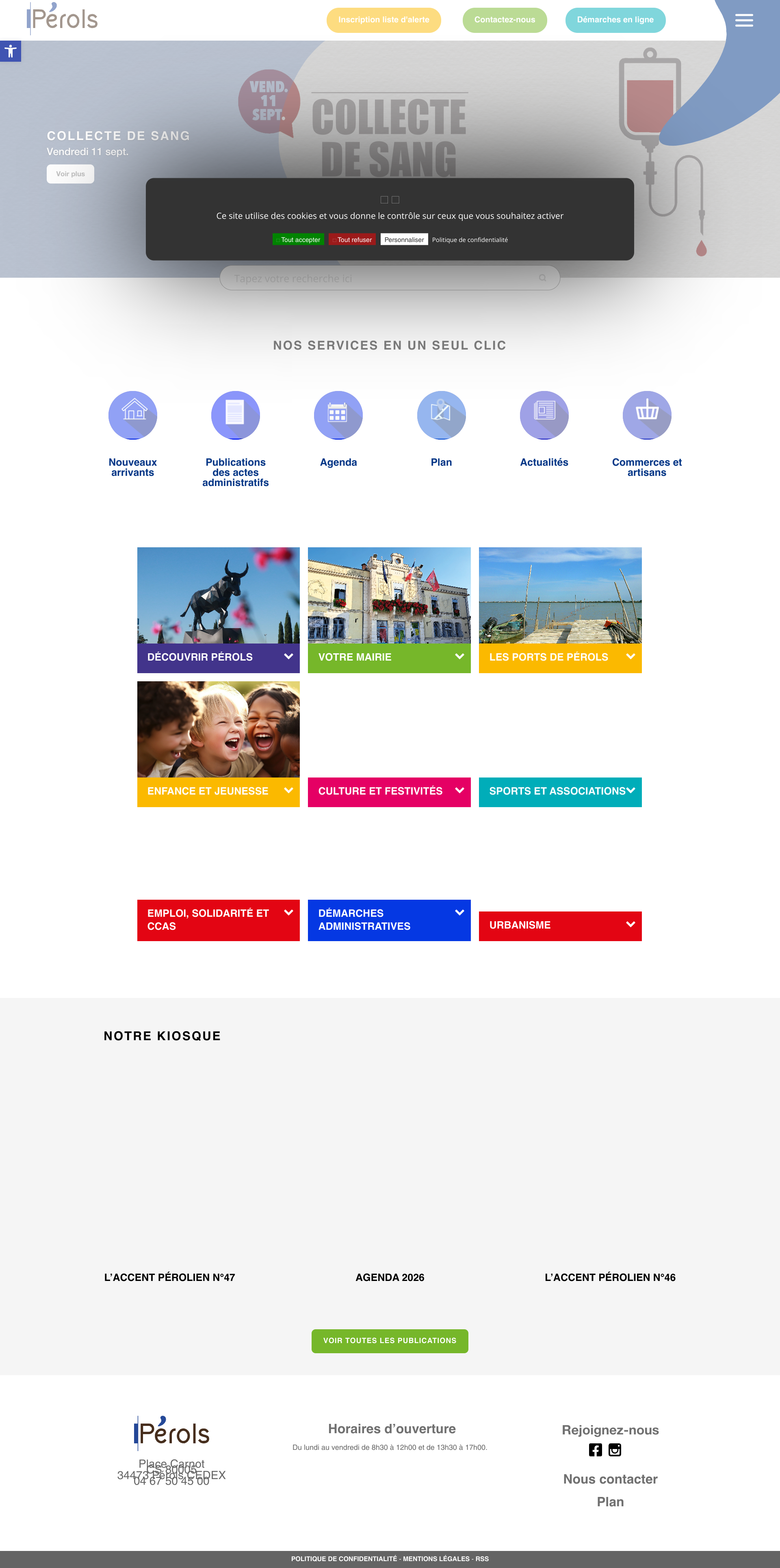 Aperçu du site
