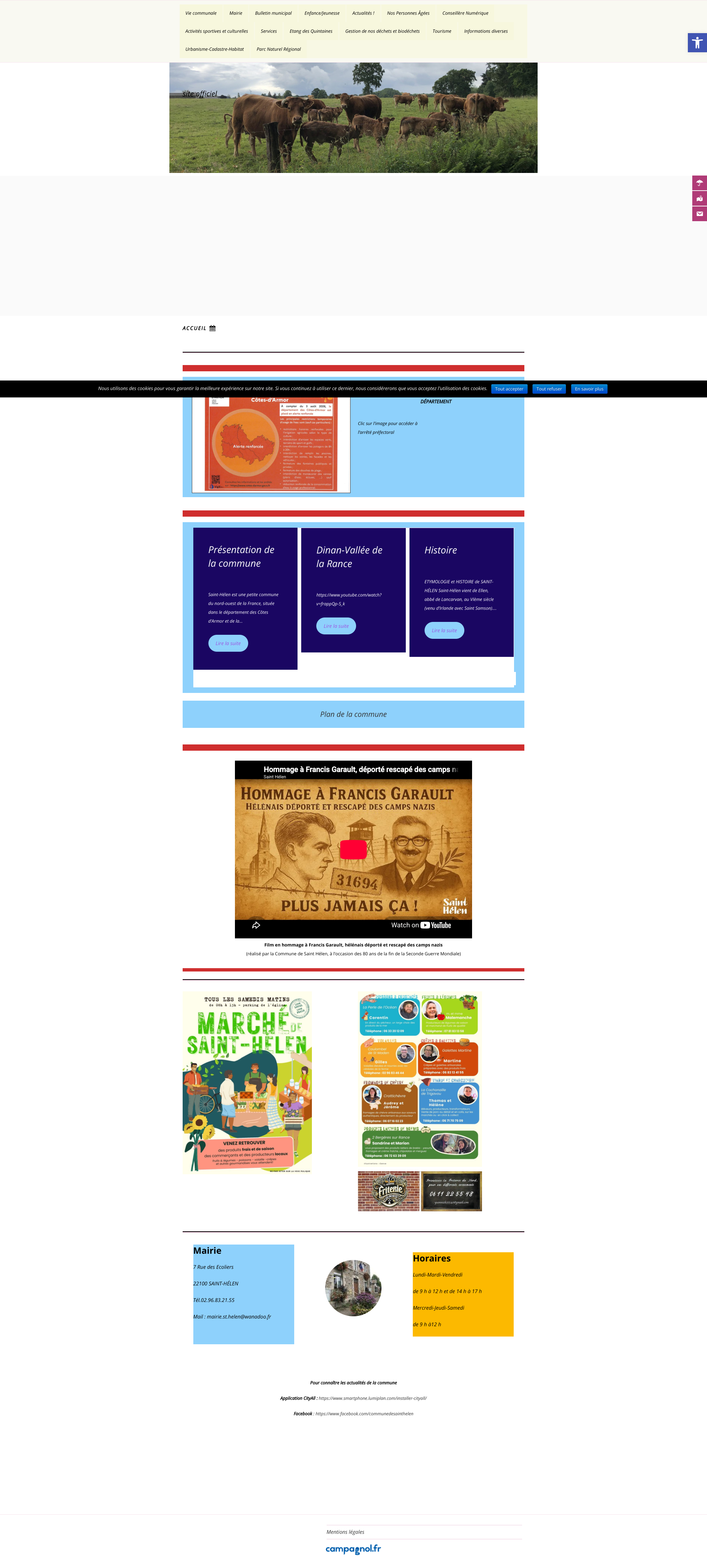 Aperçu du site