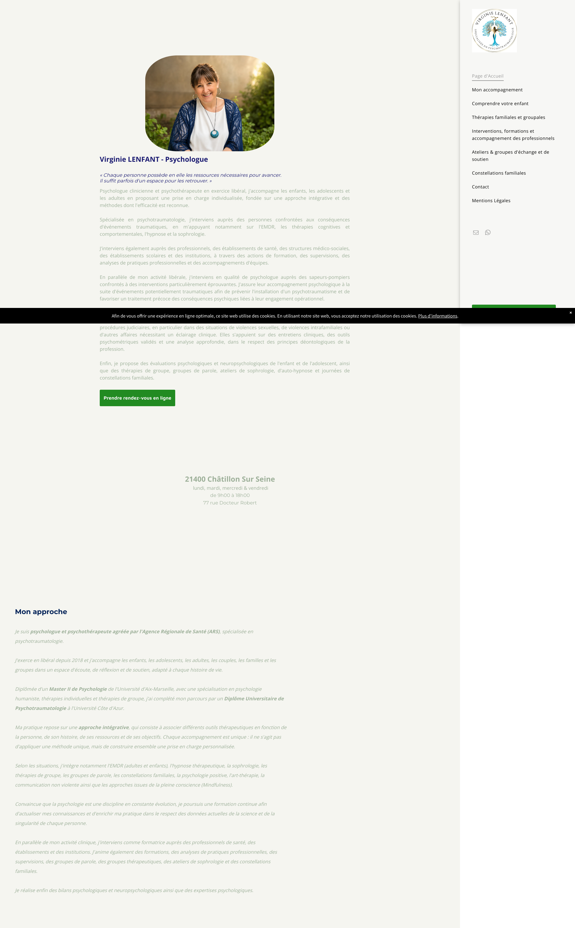 Aperçu du site