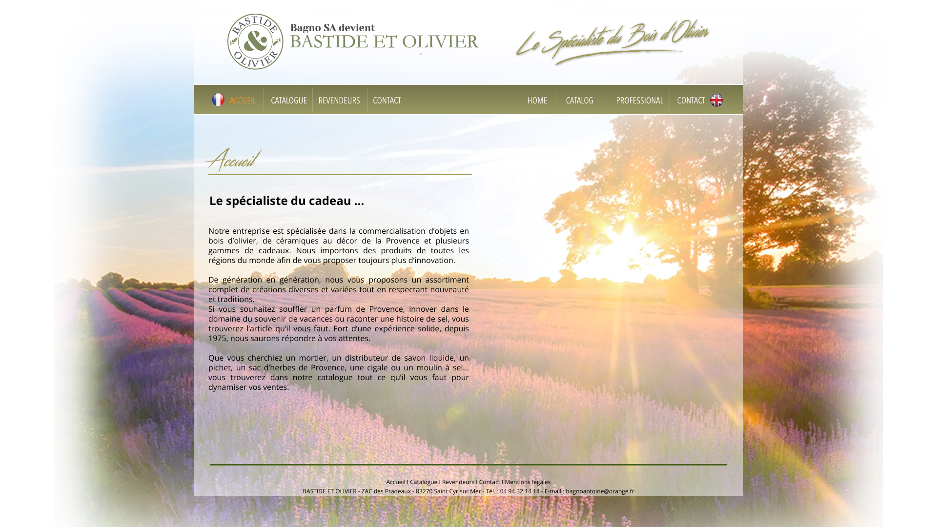Aperçu du site