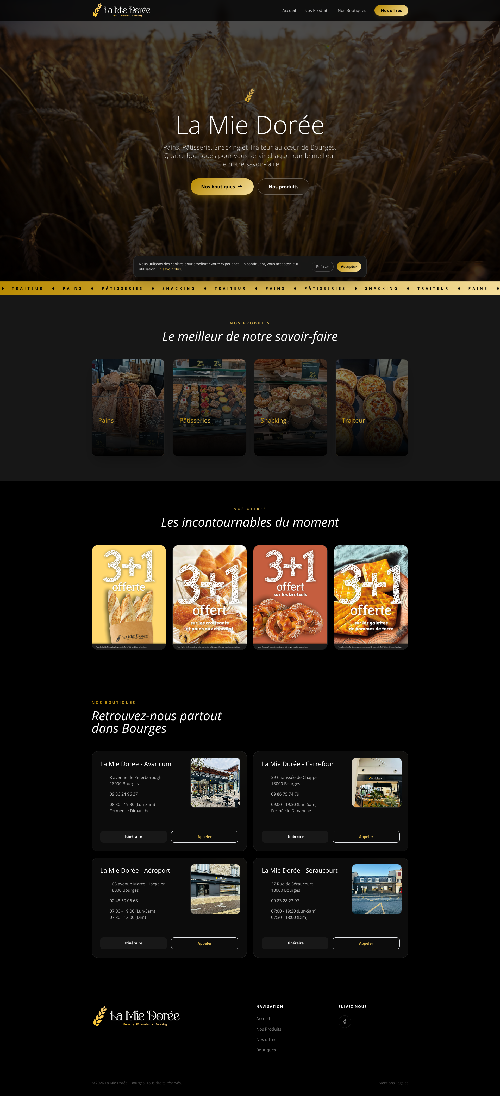 Aperçu du site