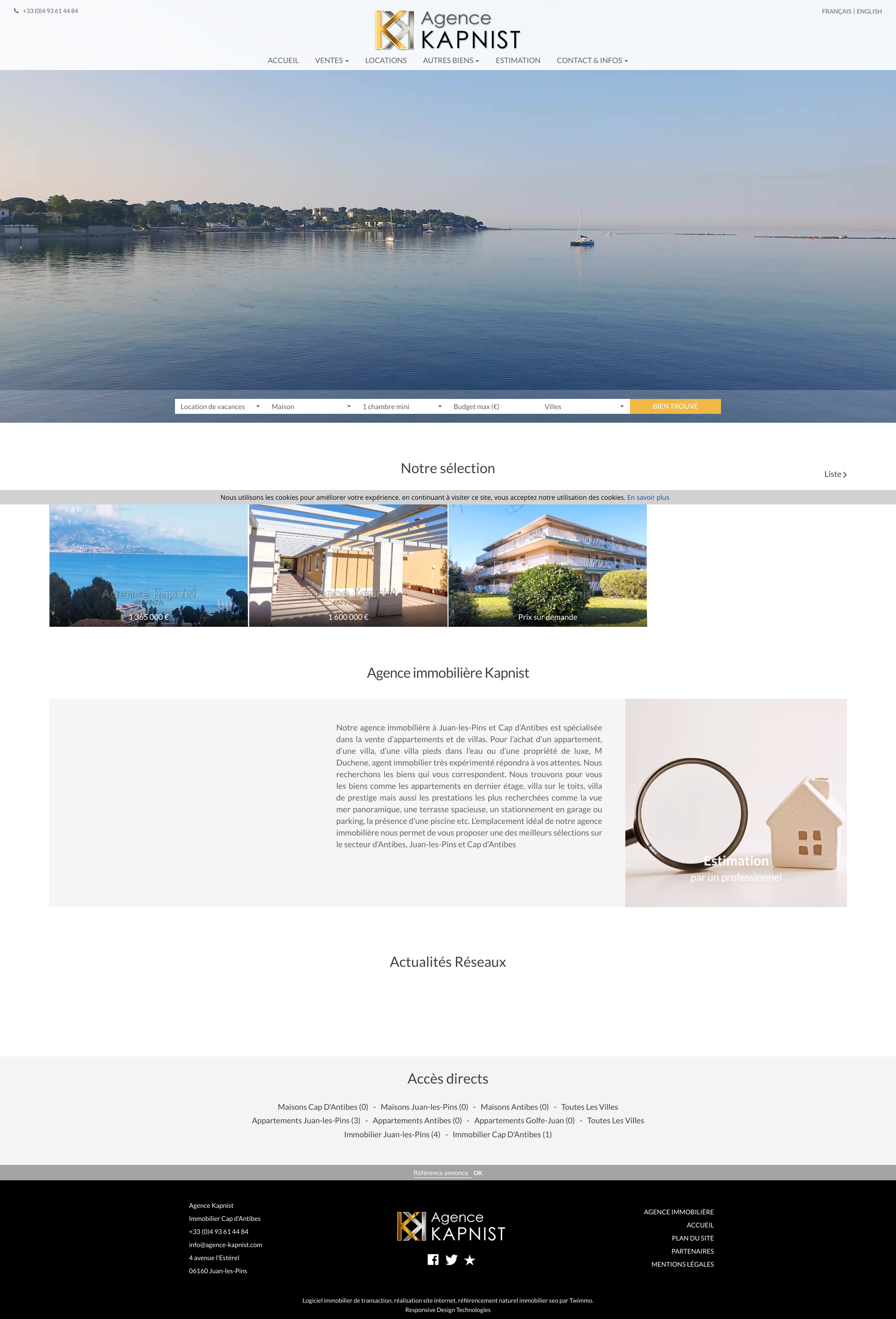 Aperçu du site