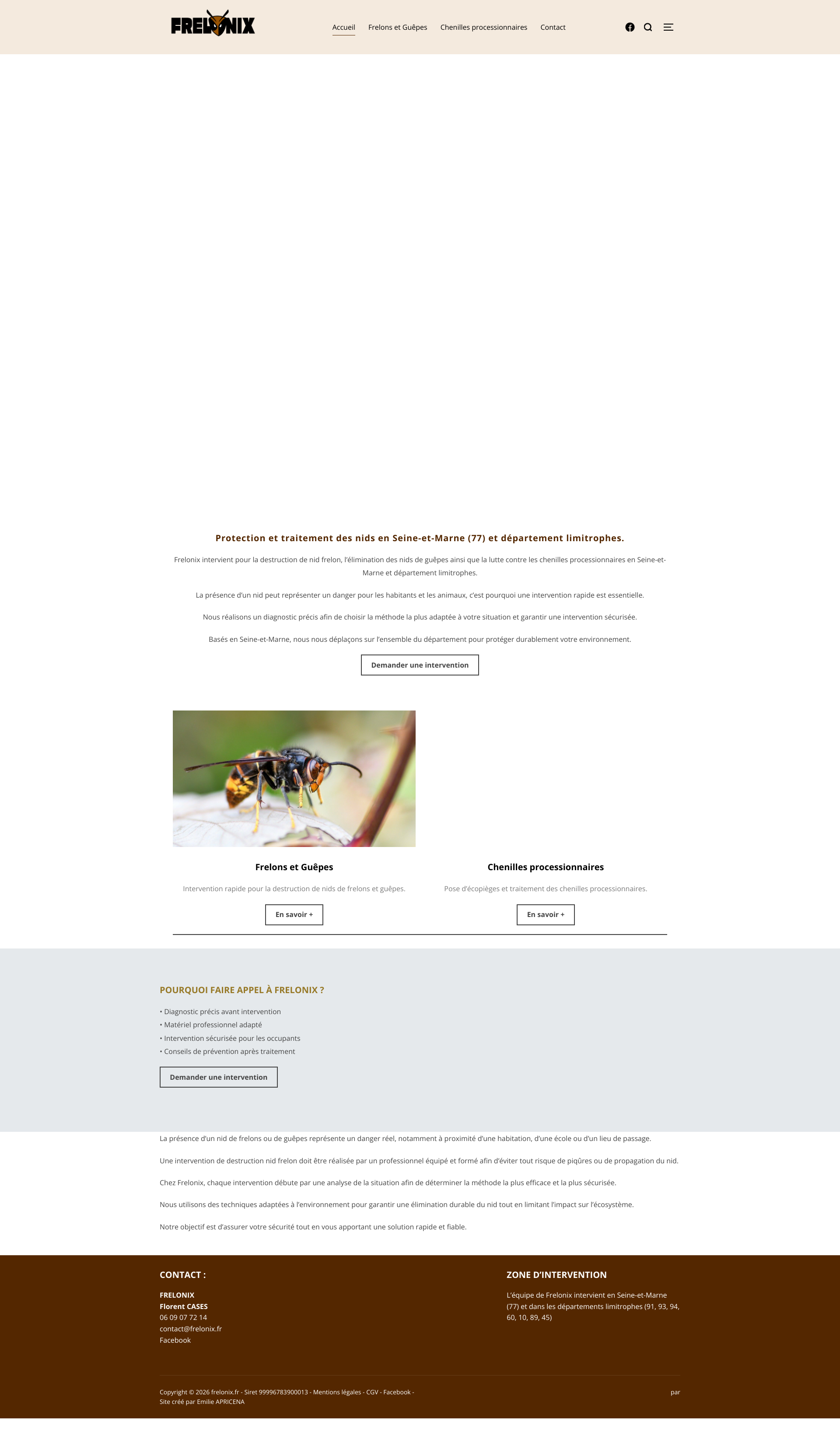 Aperçu du site