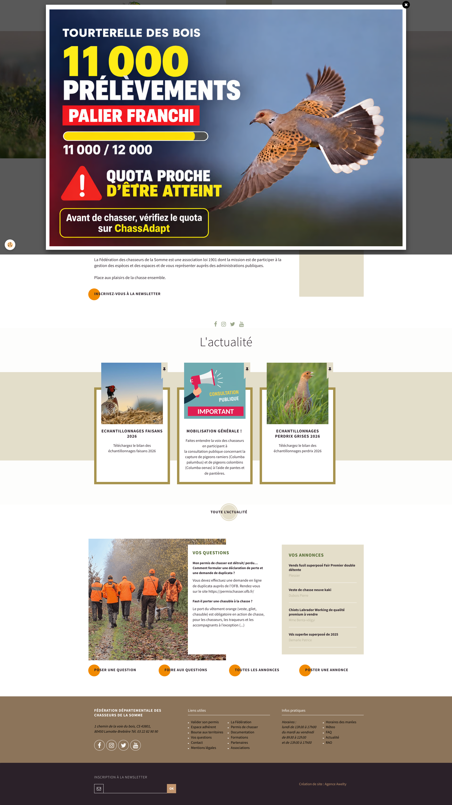 Aperçu du site
