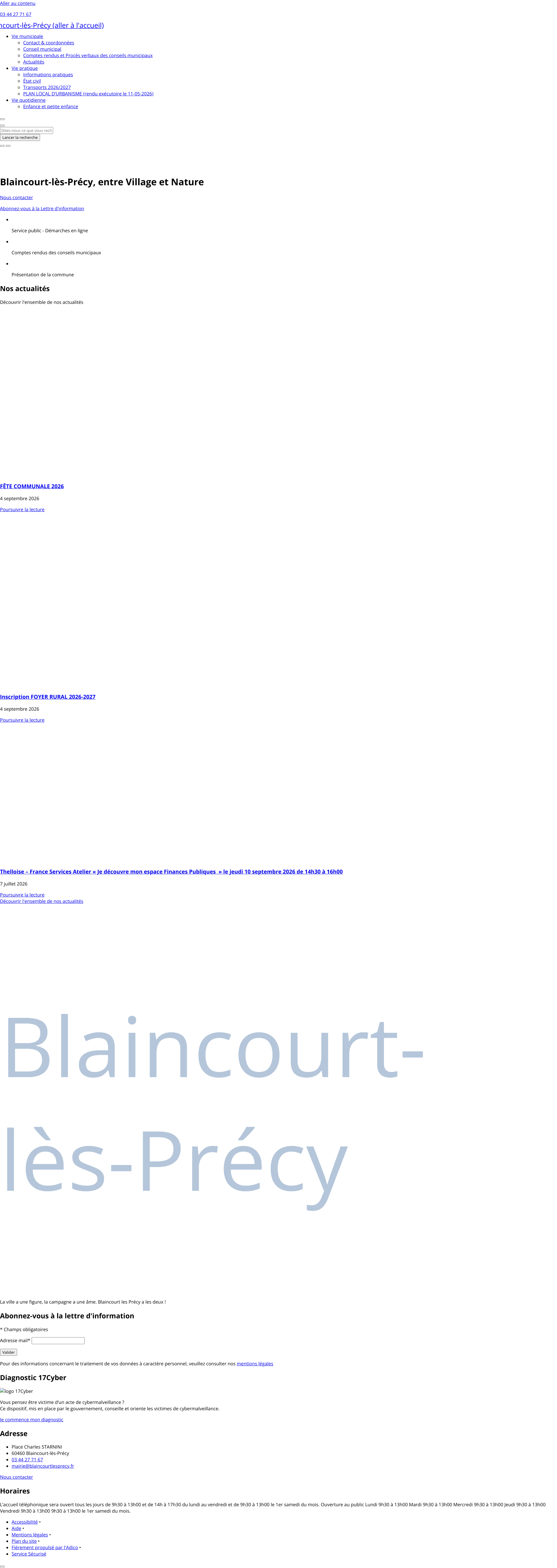 Aperçu du site