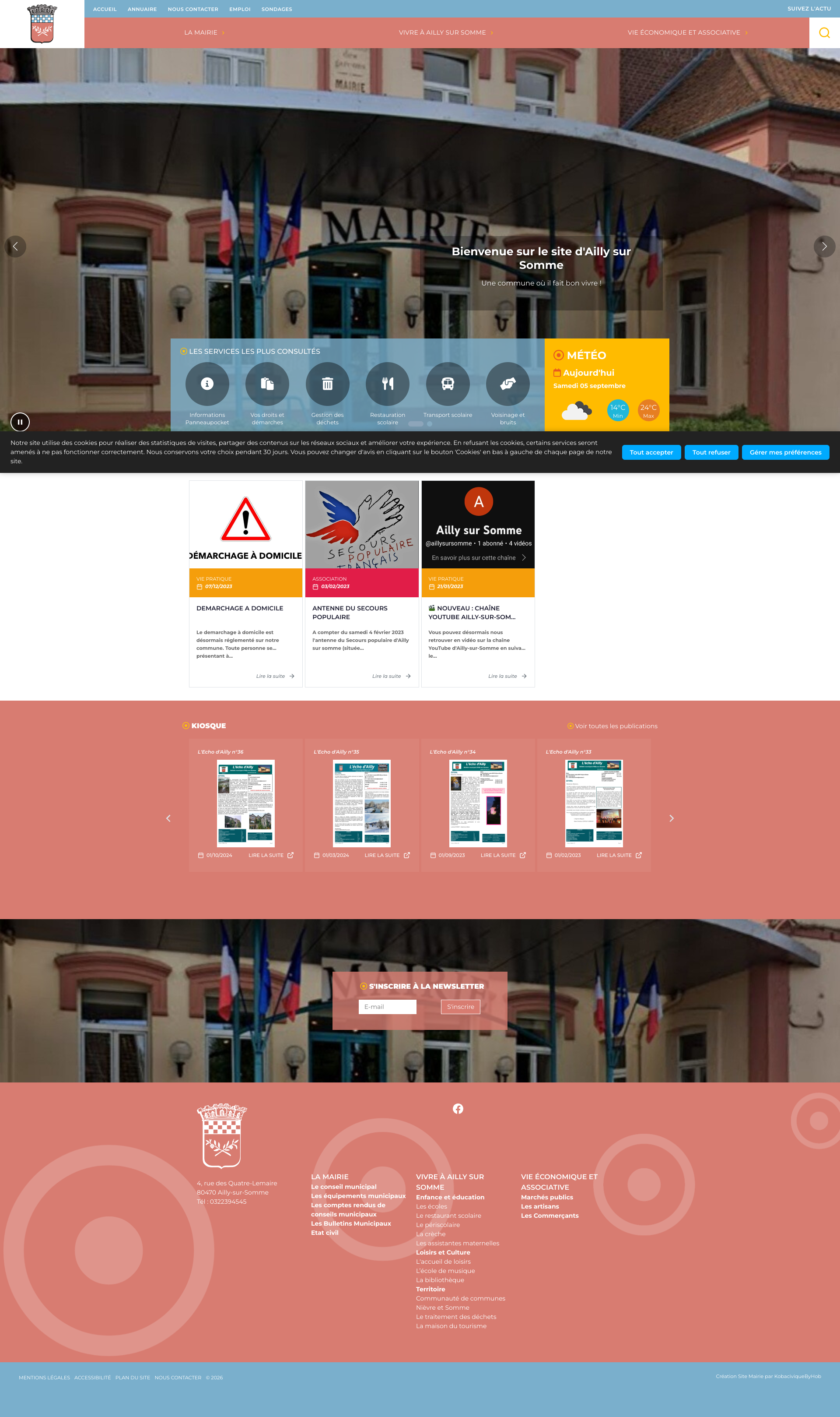 Aperçu du site