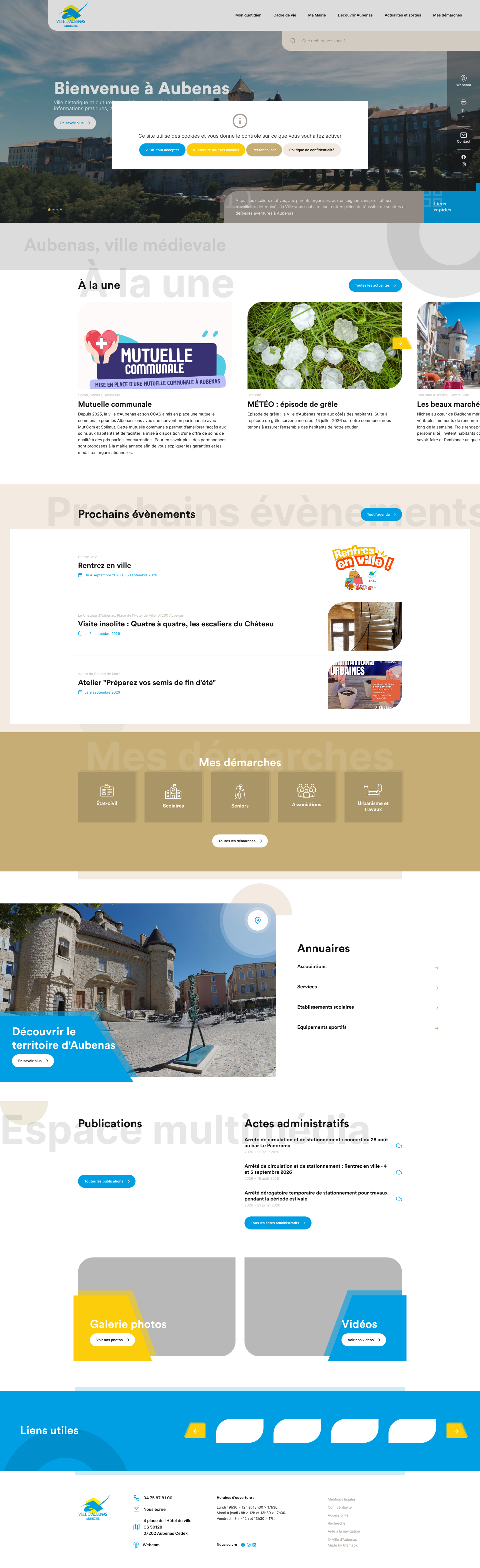 Aperçu du site