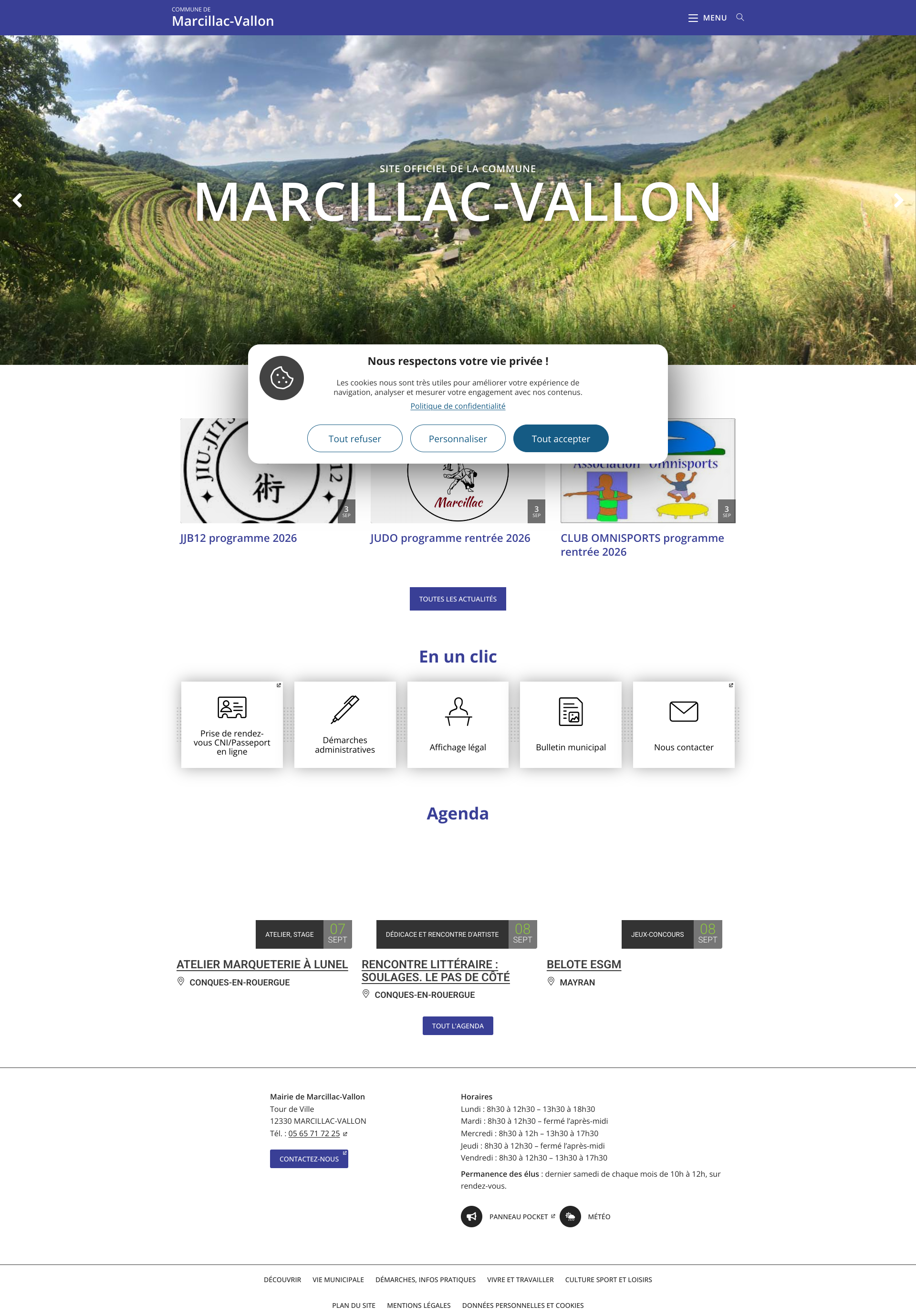 Aperçu du site