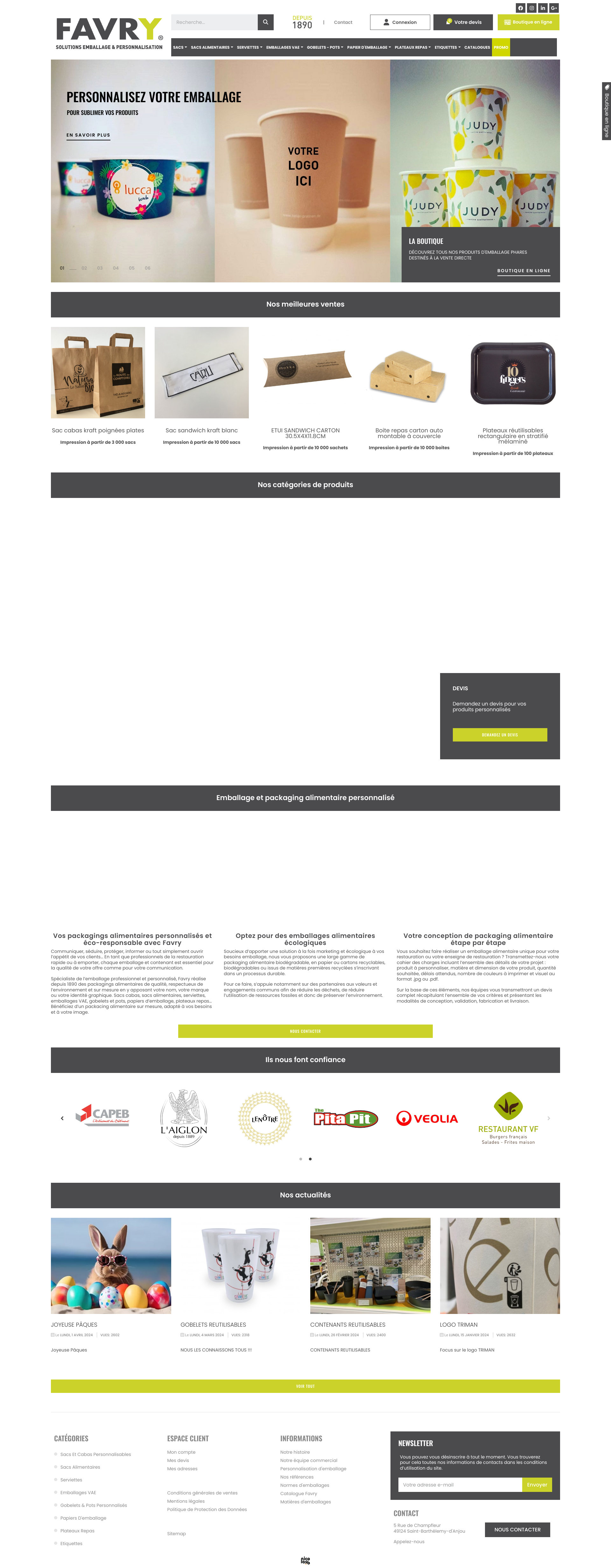 Aperçu du site