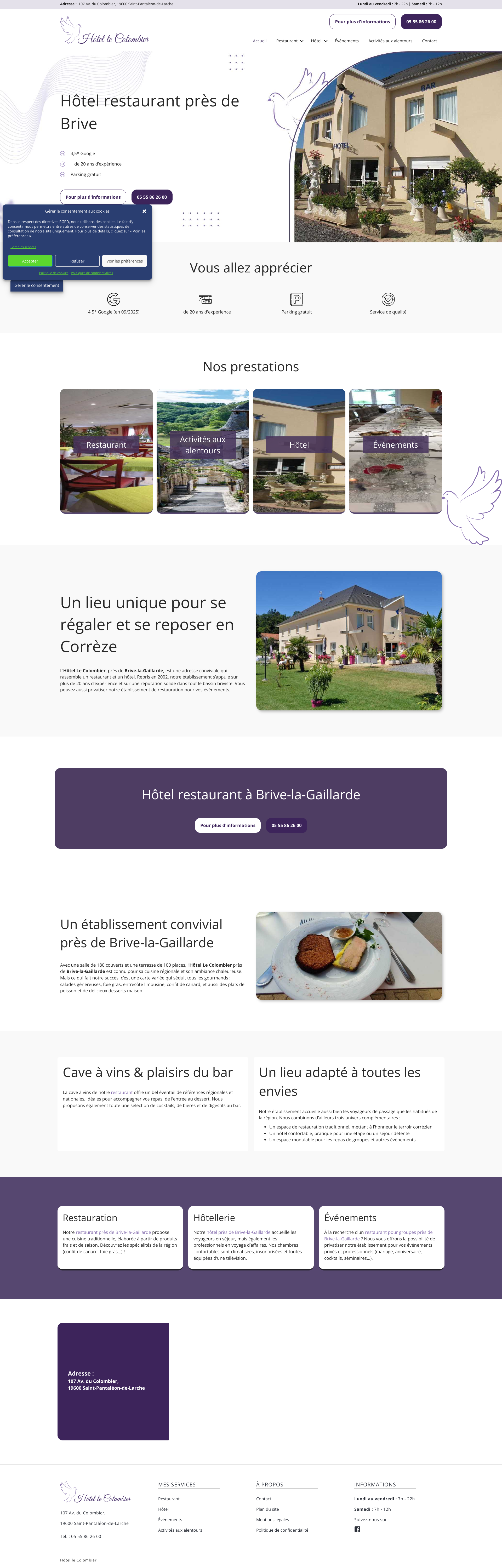 Aperçu du site