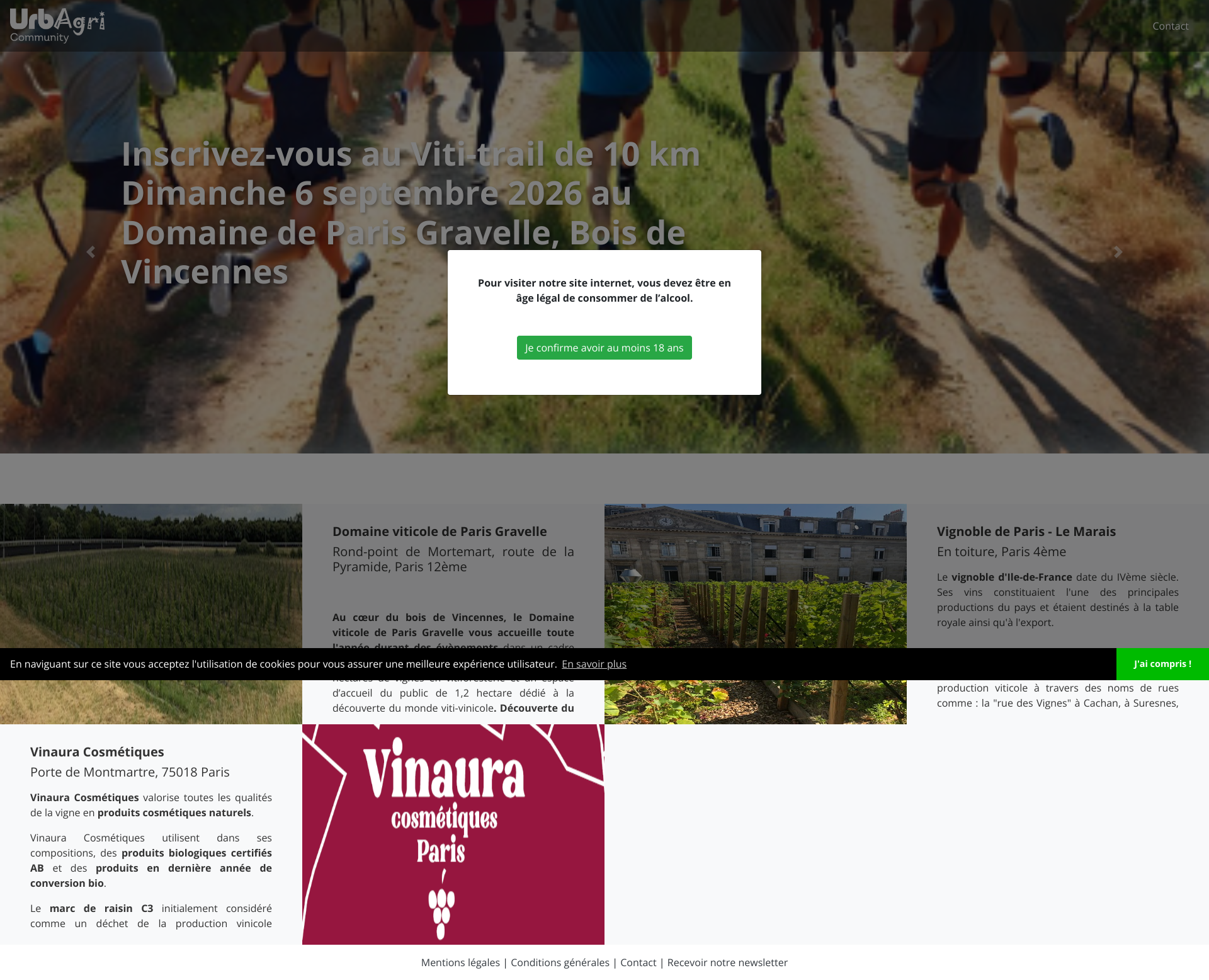 Aperçu du site