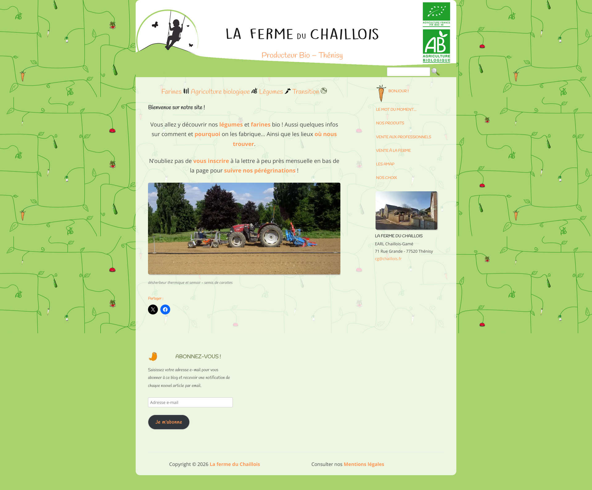 Aperçu du site